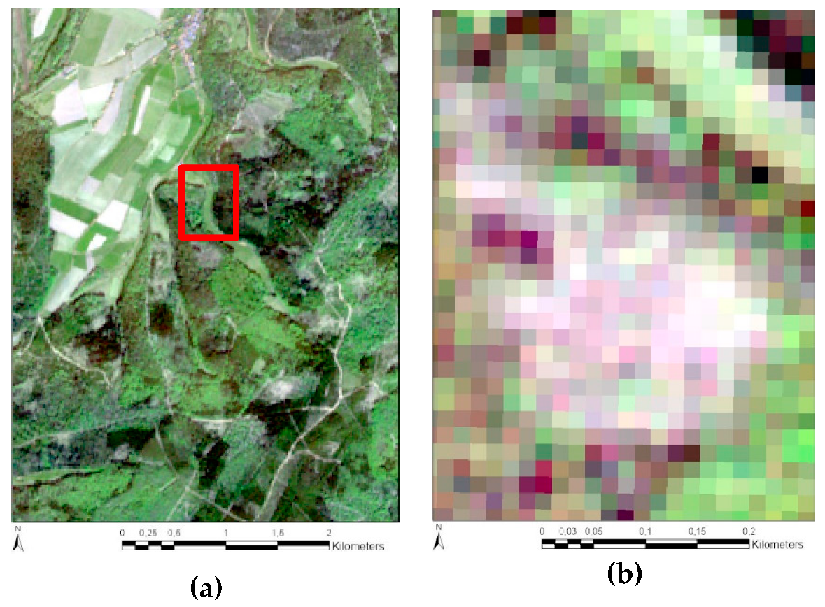 Forests 11 01239 g003