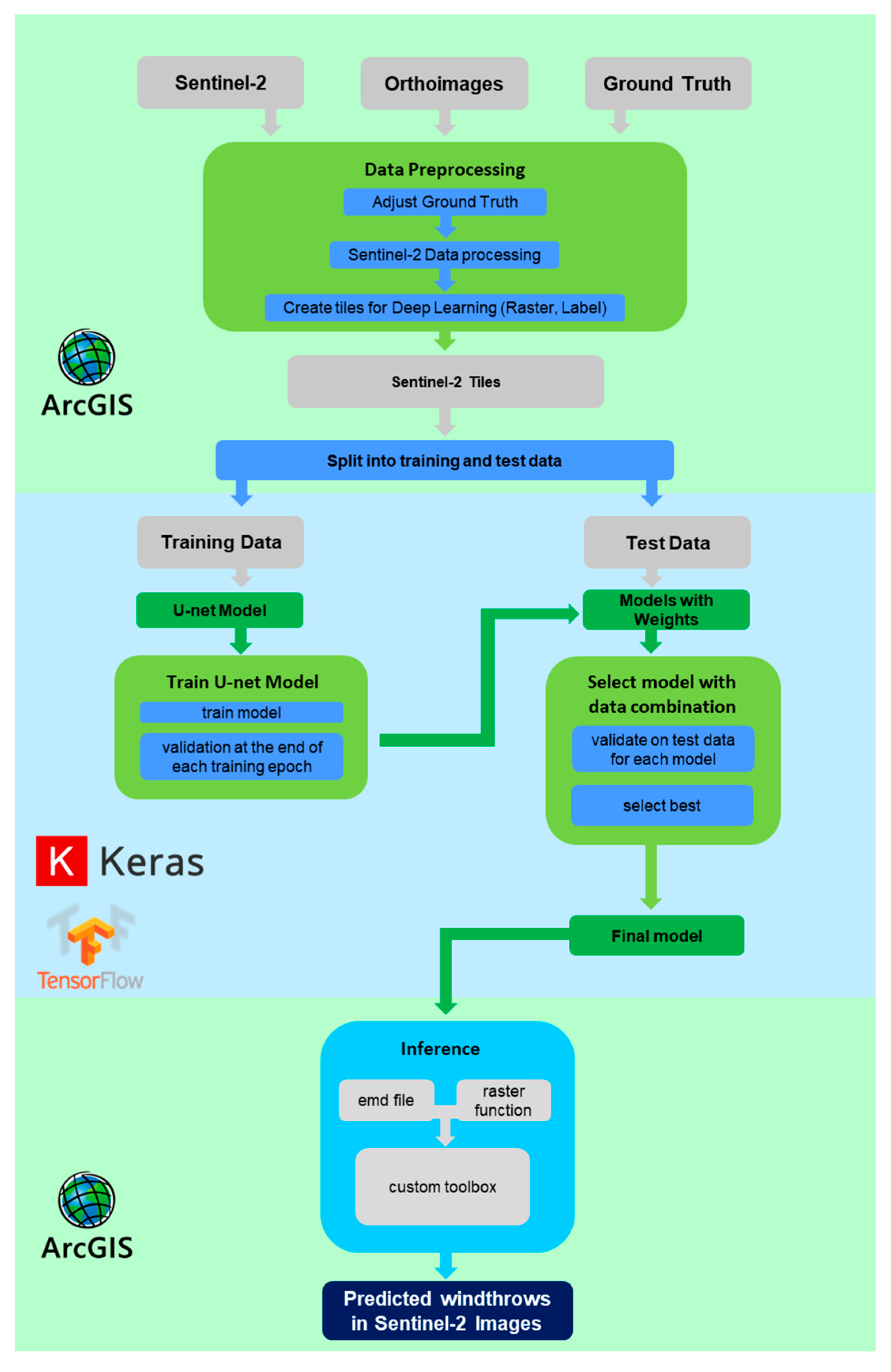Forests 11 01239 g005
