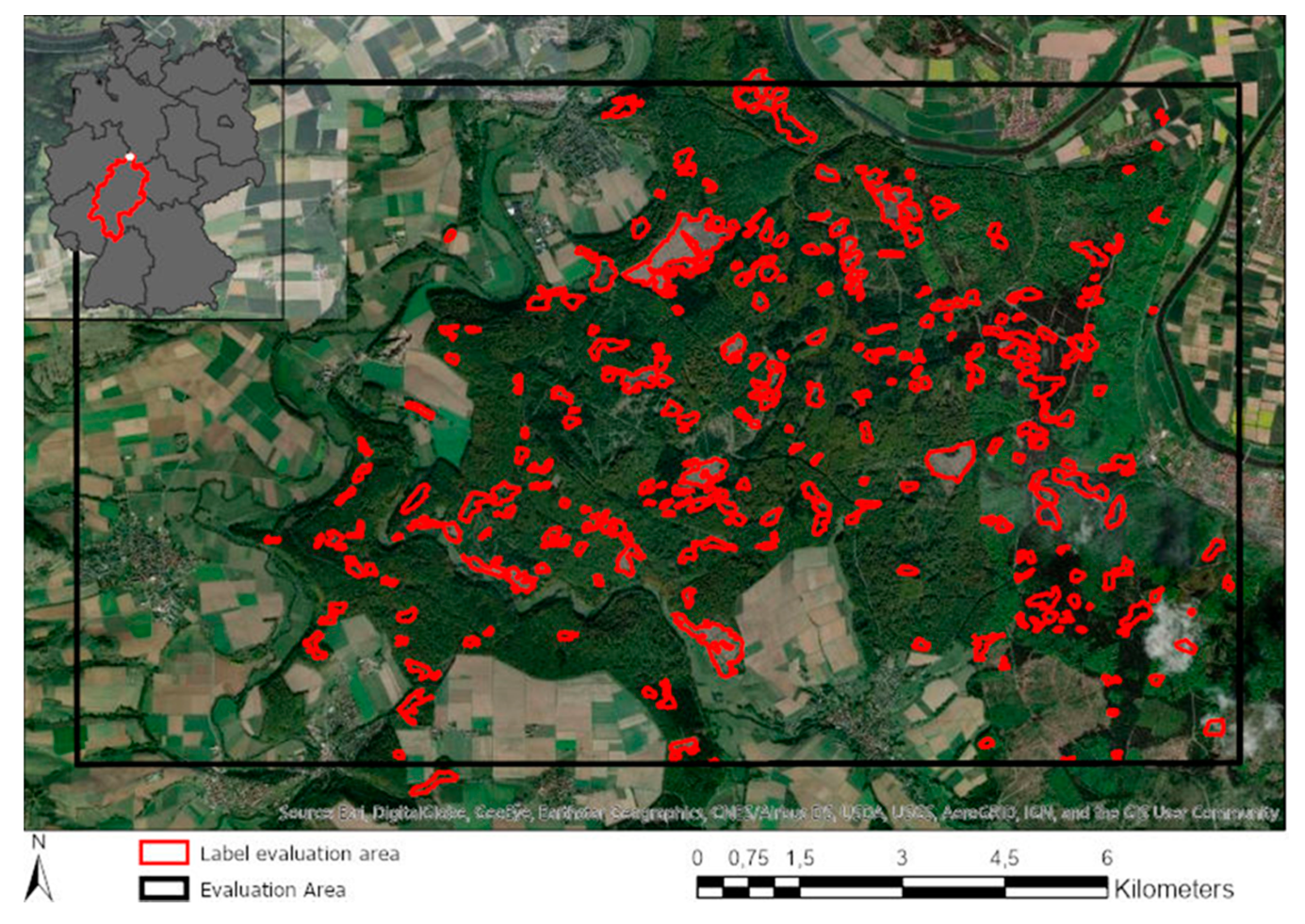 Forests 11 01239 g006