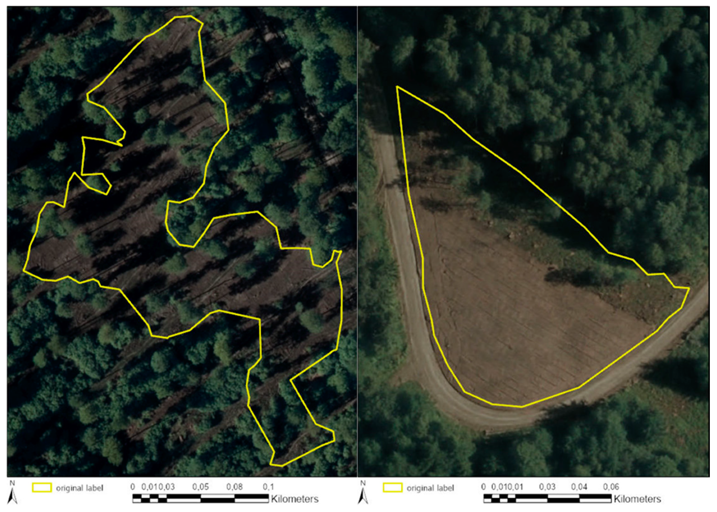 Forests 11 01239 g014