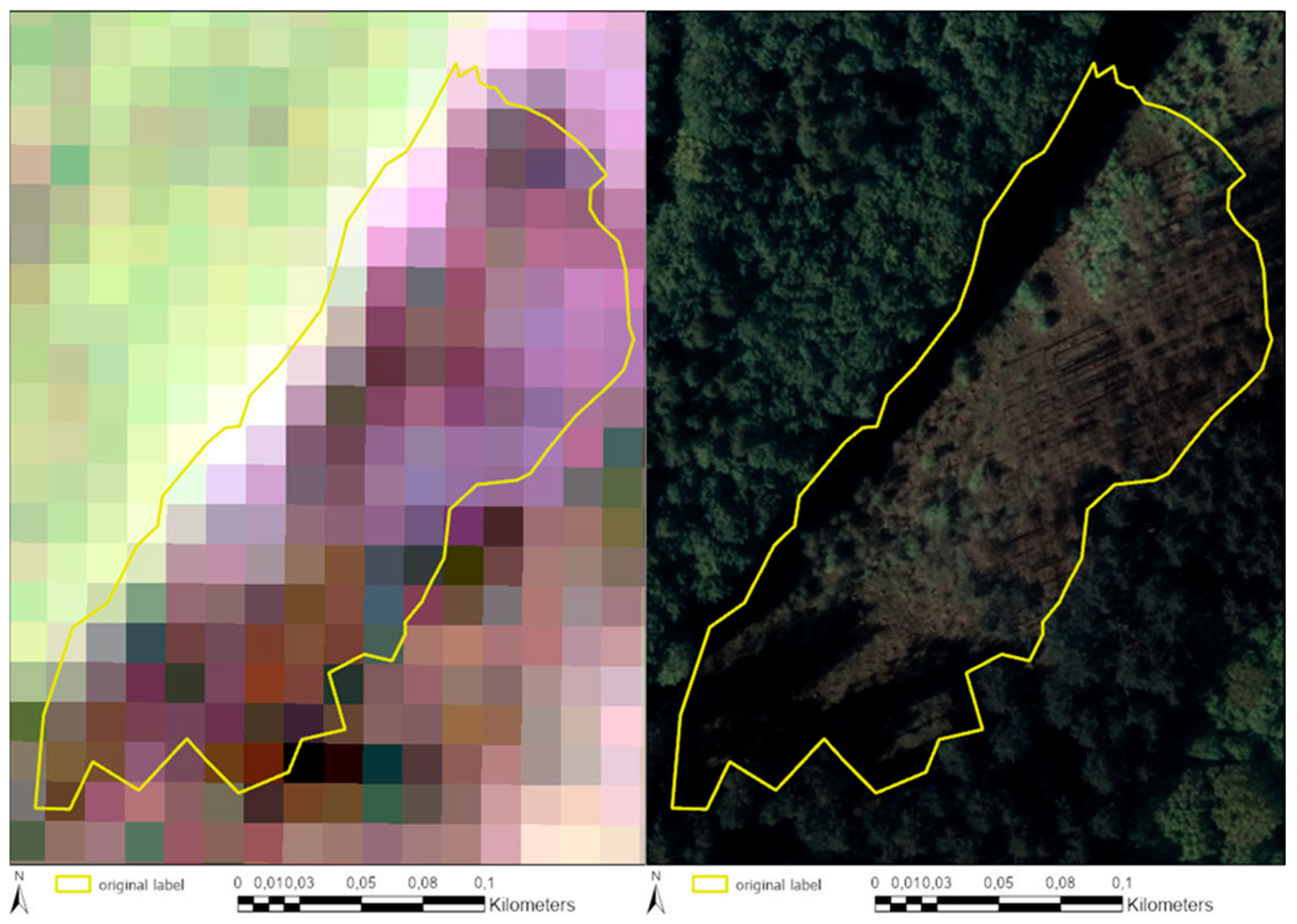 Forests 11 01239 g015