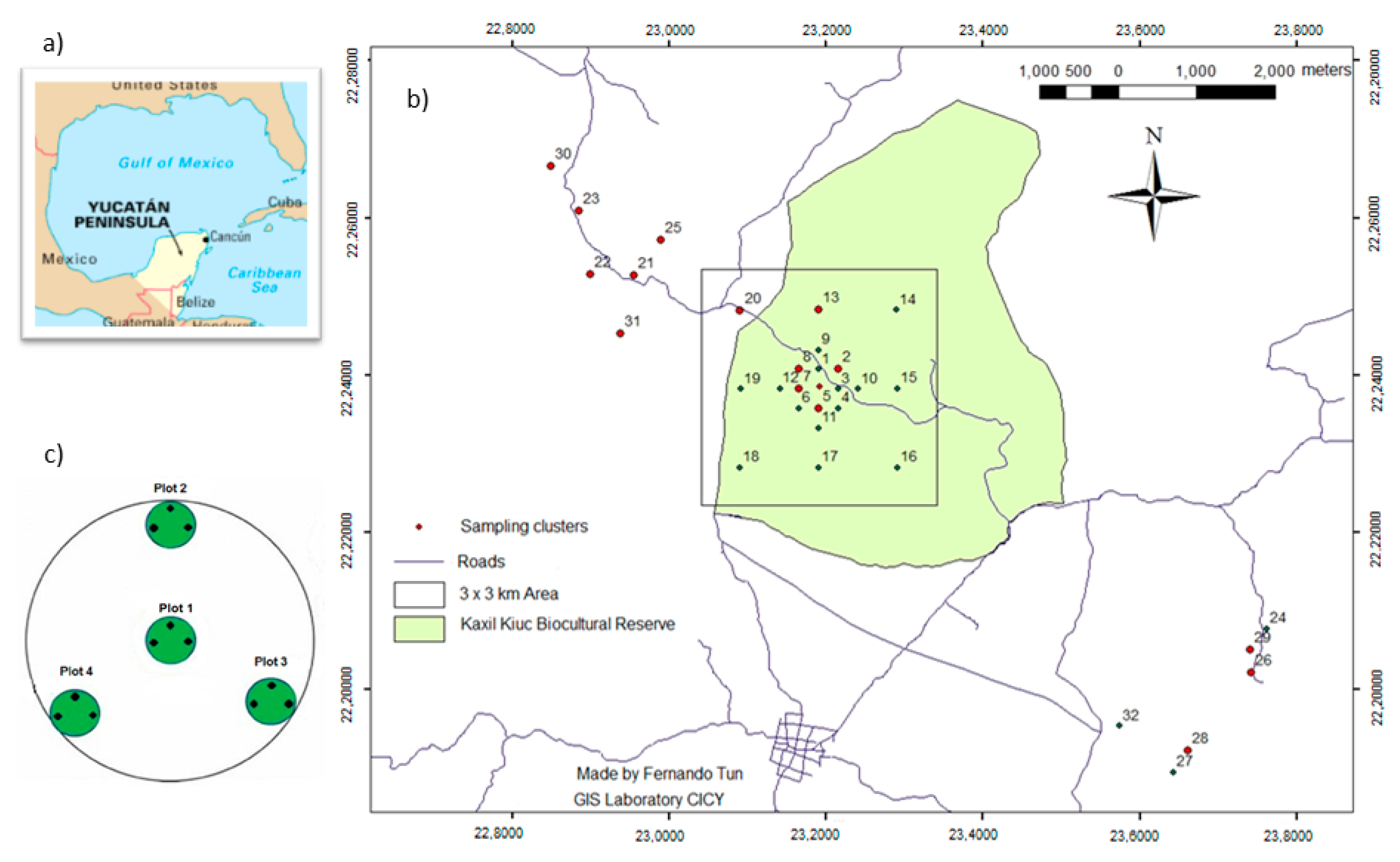 Forests 11 01241 g001