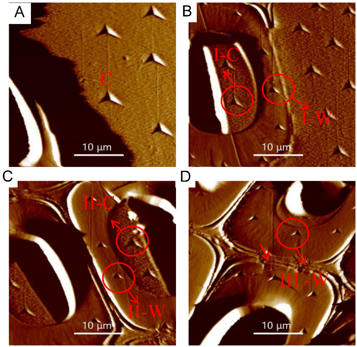 Forests 11 01247 g002 Forests 11 01247 g002