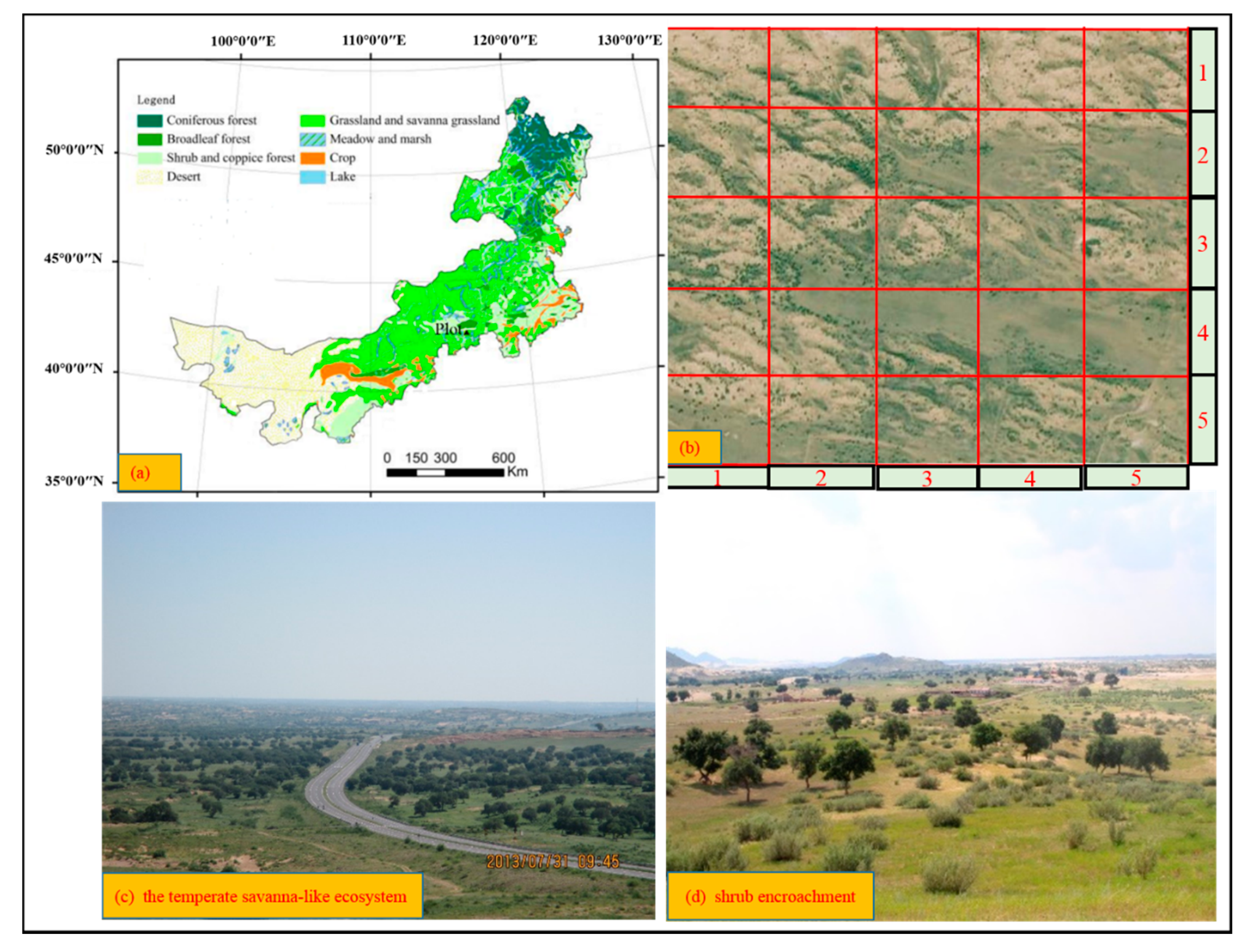 Forests 11 01248 g001 Forests 11 01248 g001