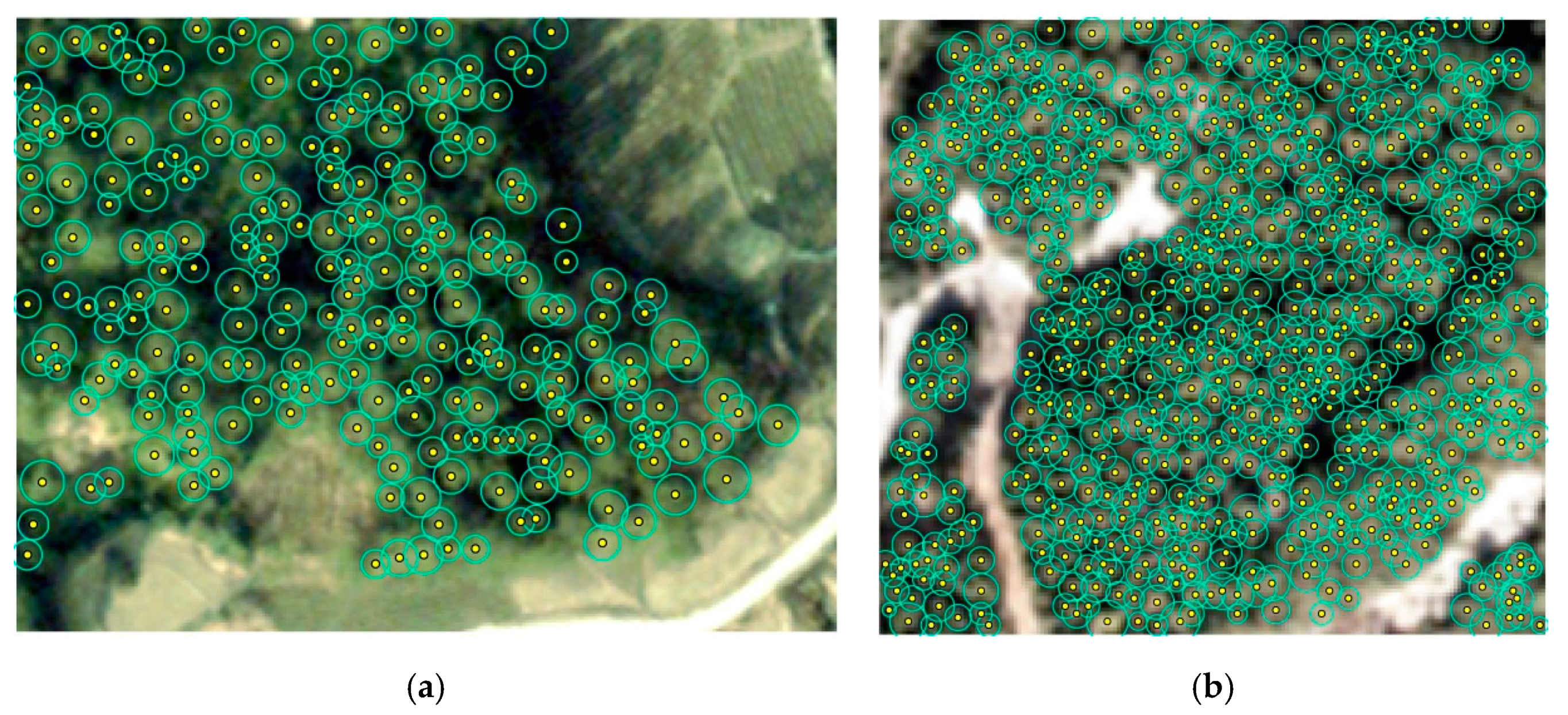Forests 11 01252 g005