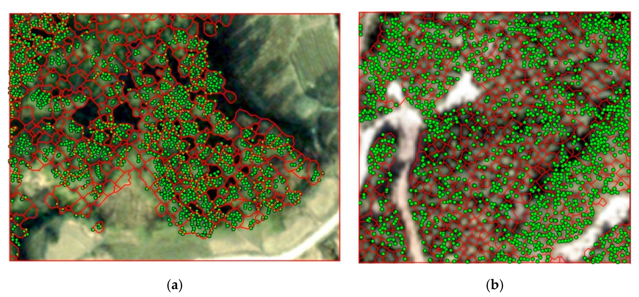 Forests 11 01252 g007