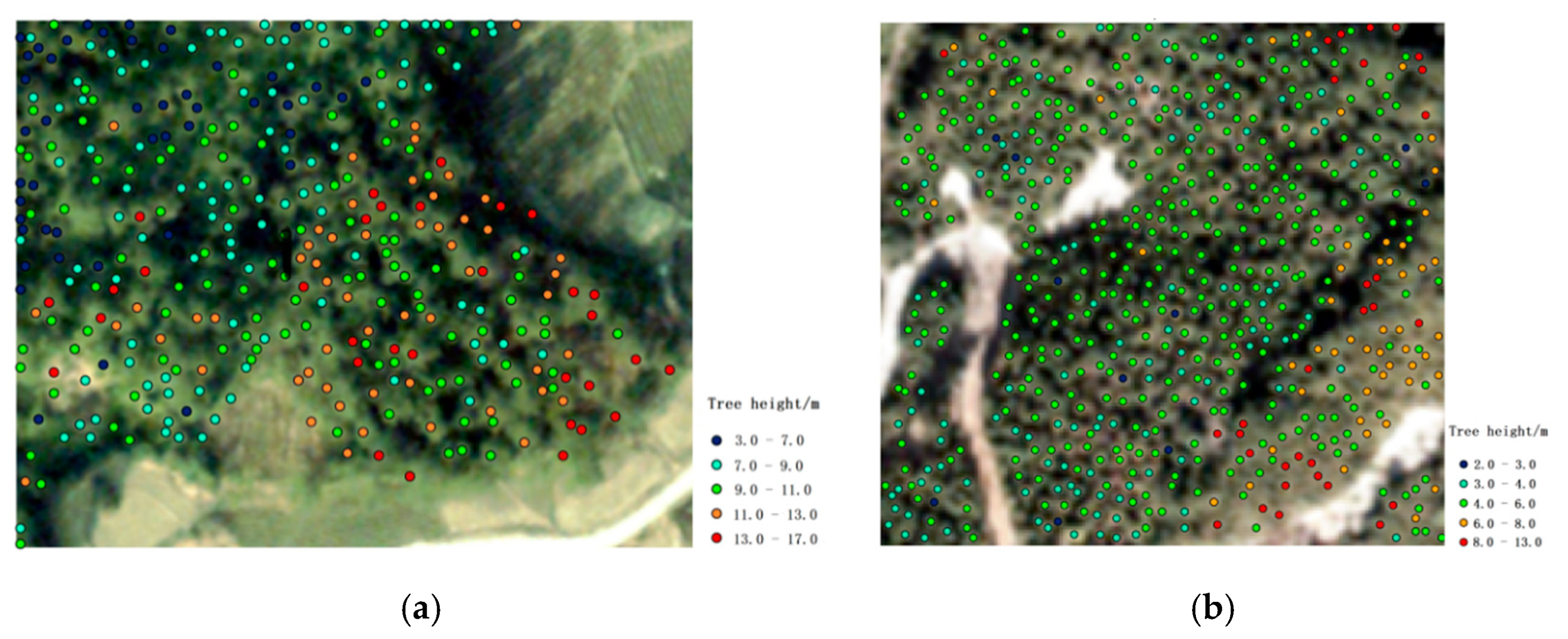 Forests 11 01252 g008