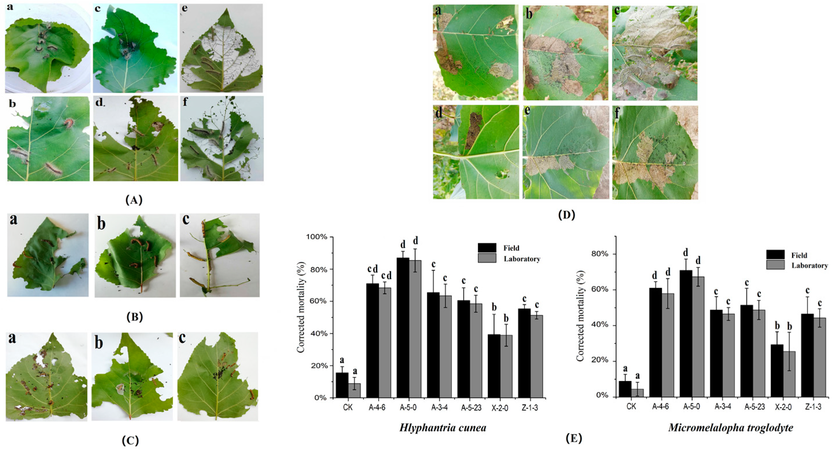 Forests 11 01255 g005