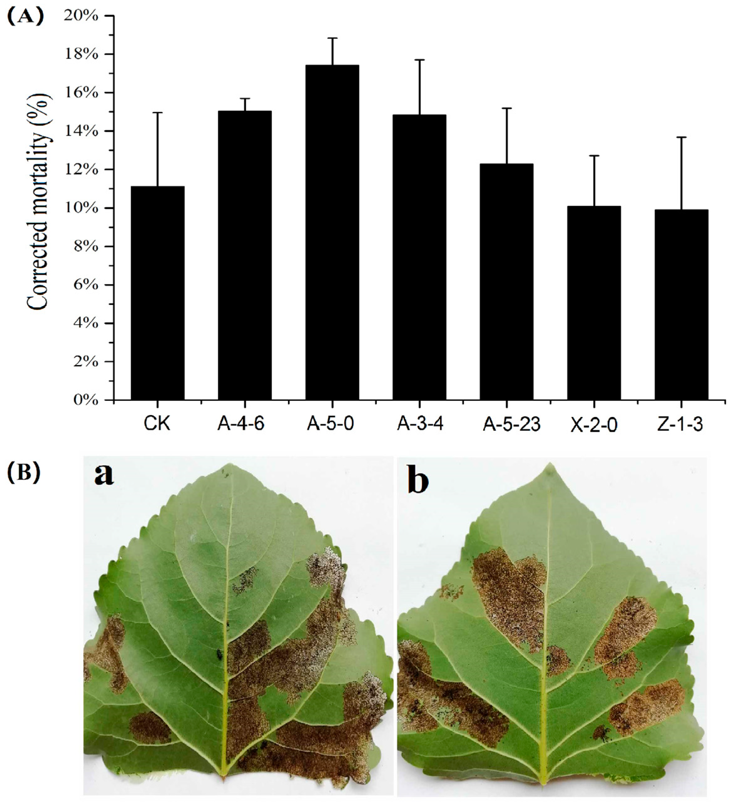 Forests 11 01255 g007