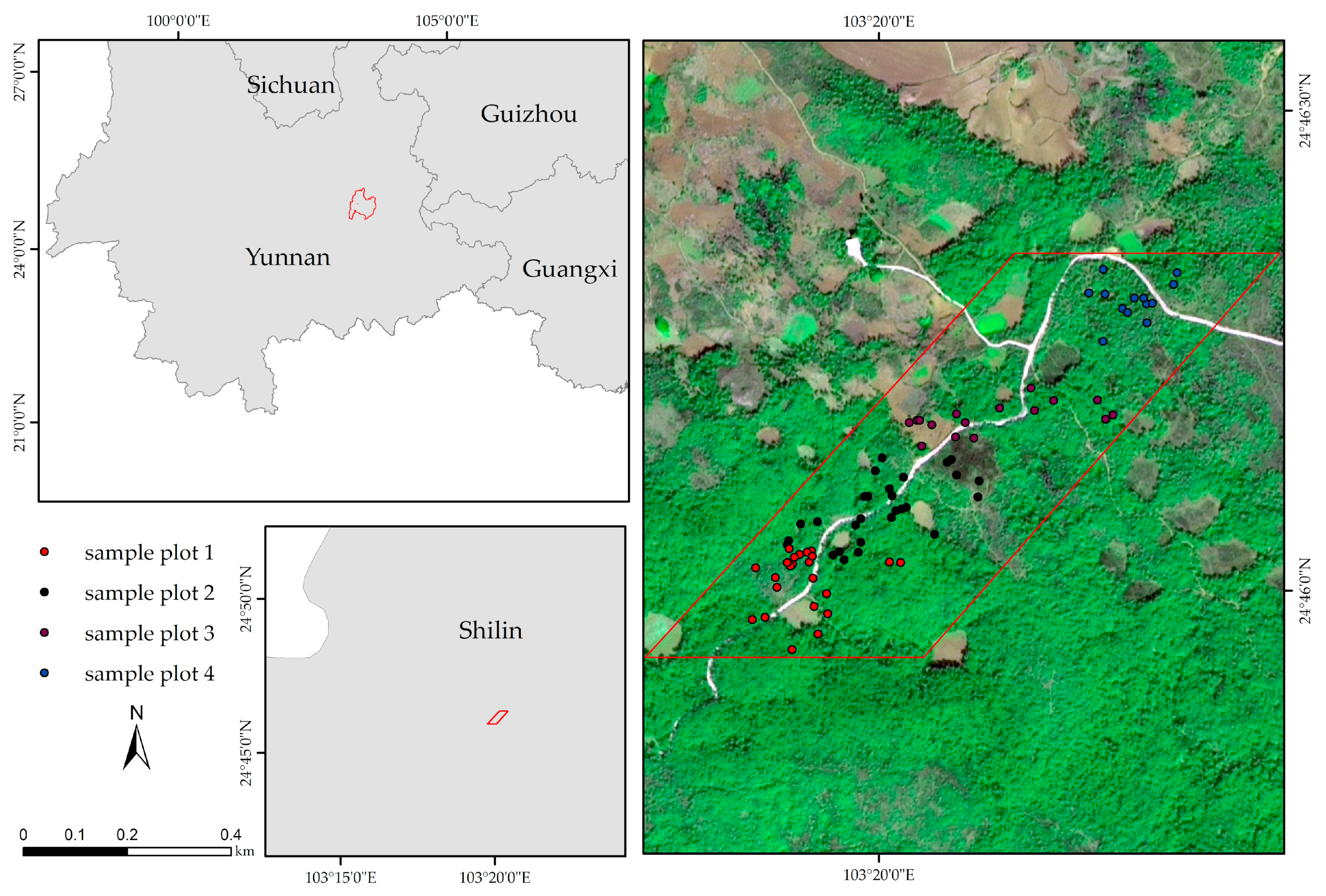 Forests 11 01258 g001