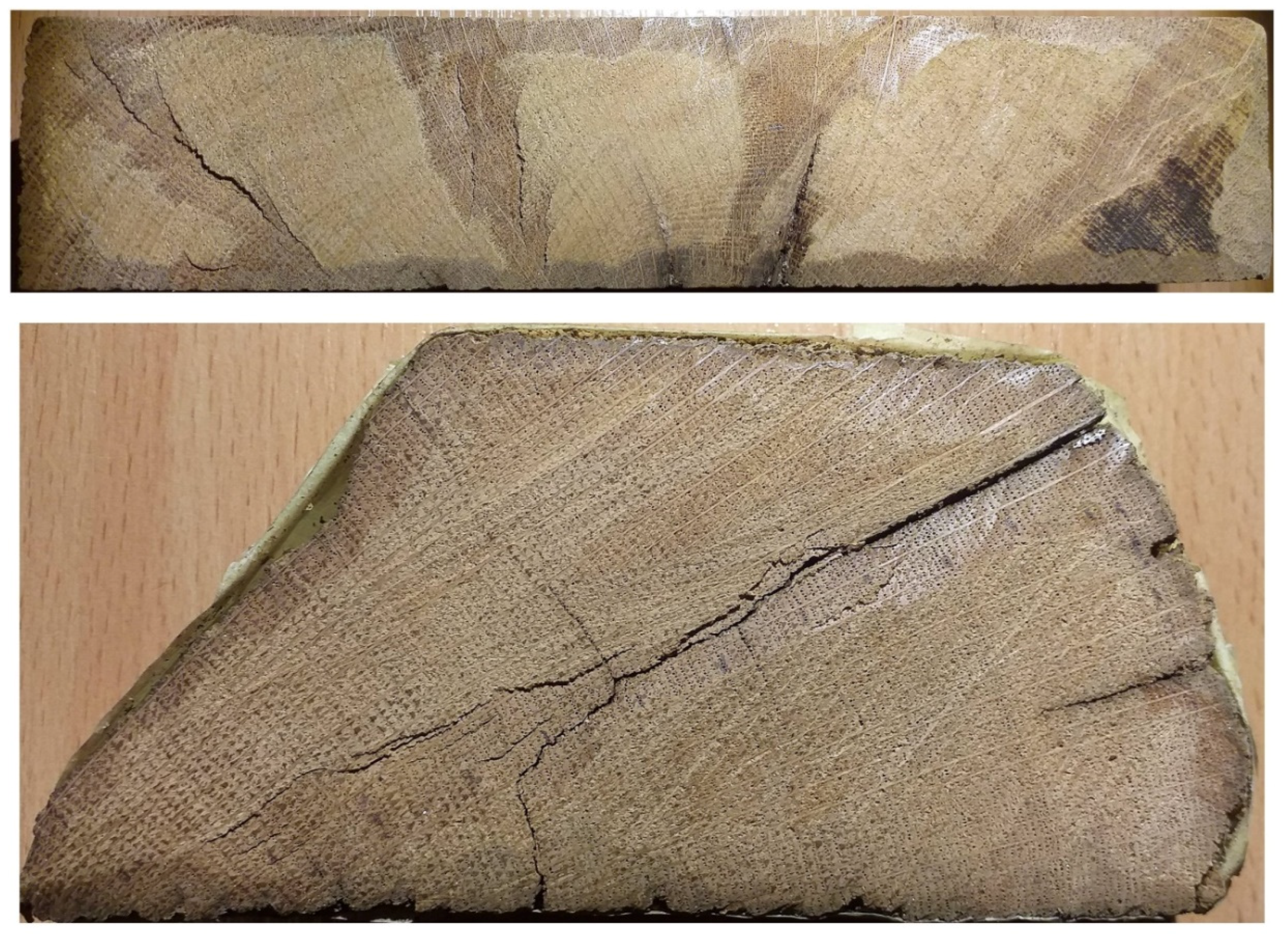 Forests 11 01266 g007 Forests 11 01266 g007