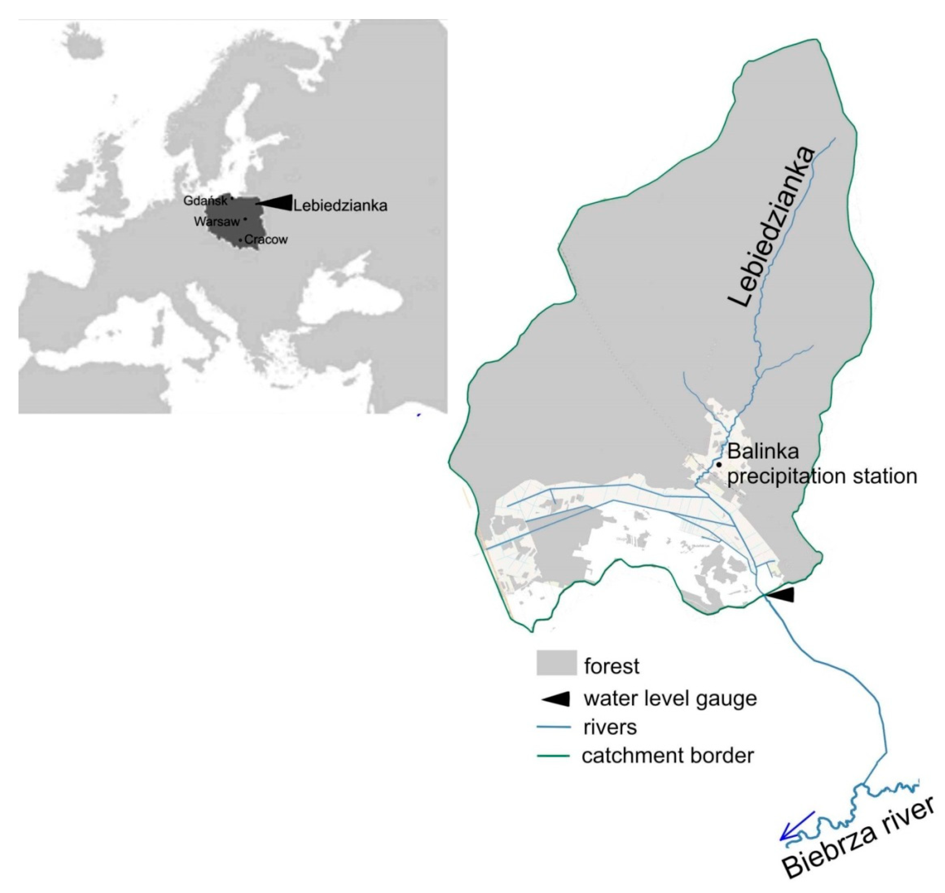 Forests 11 01269 g001 Forests 11 01269 g001