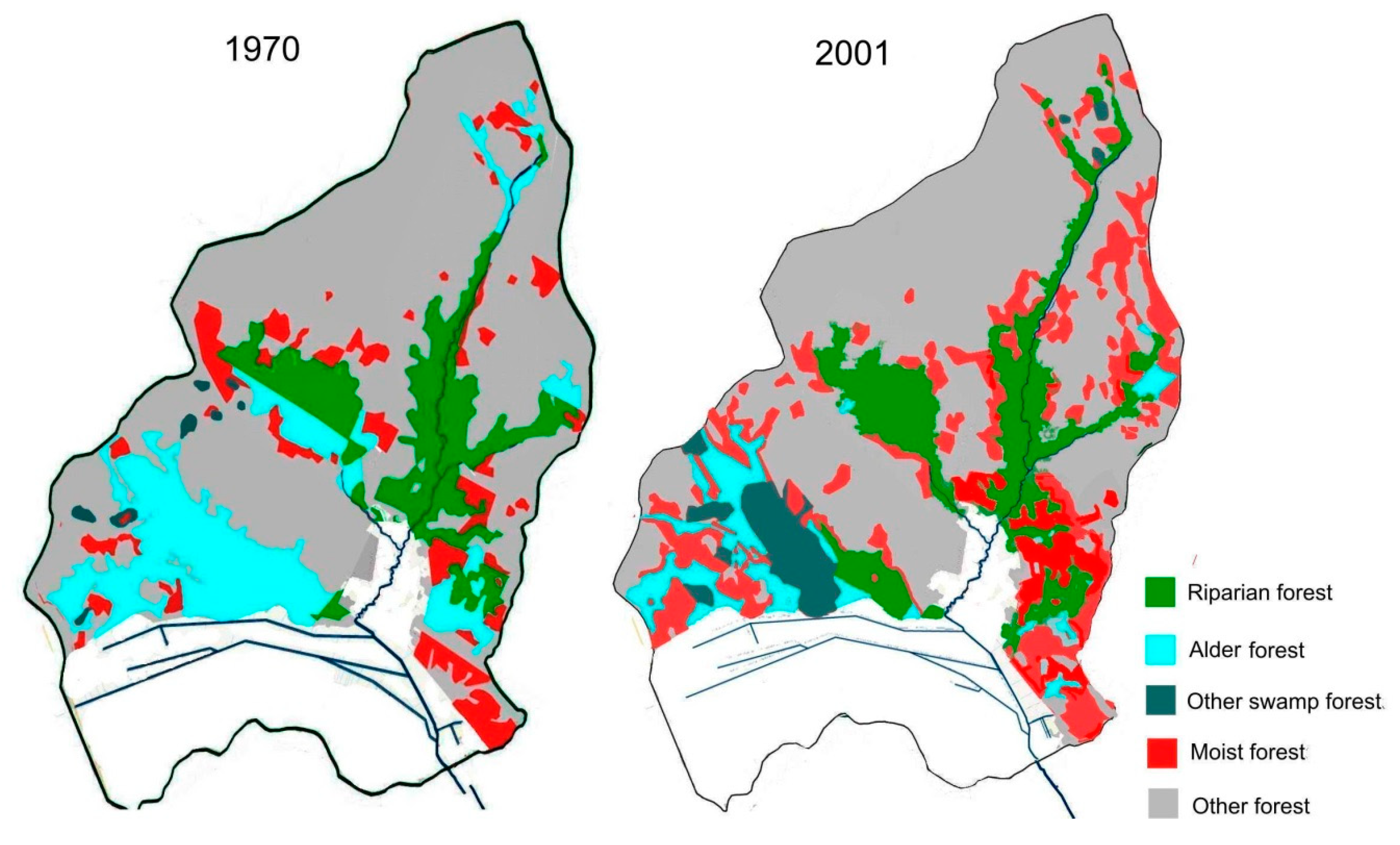 Forests 11 01269 g002 Forests 11 01269 g002