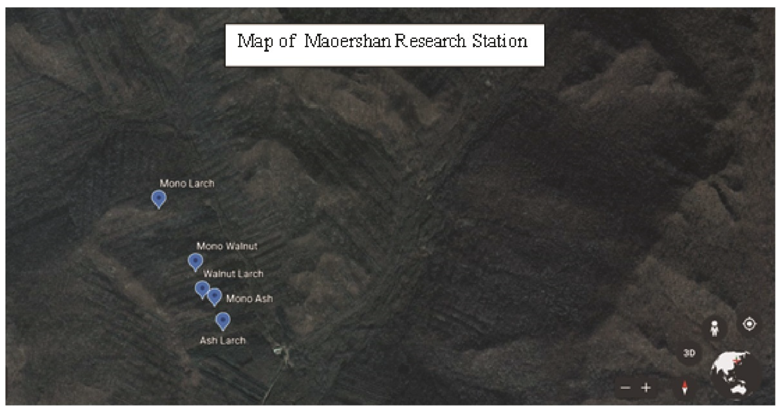 Forests 11 01274 g001