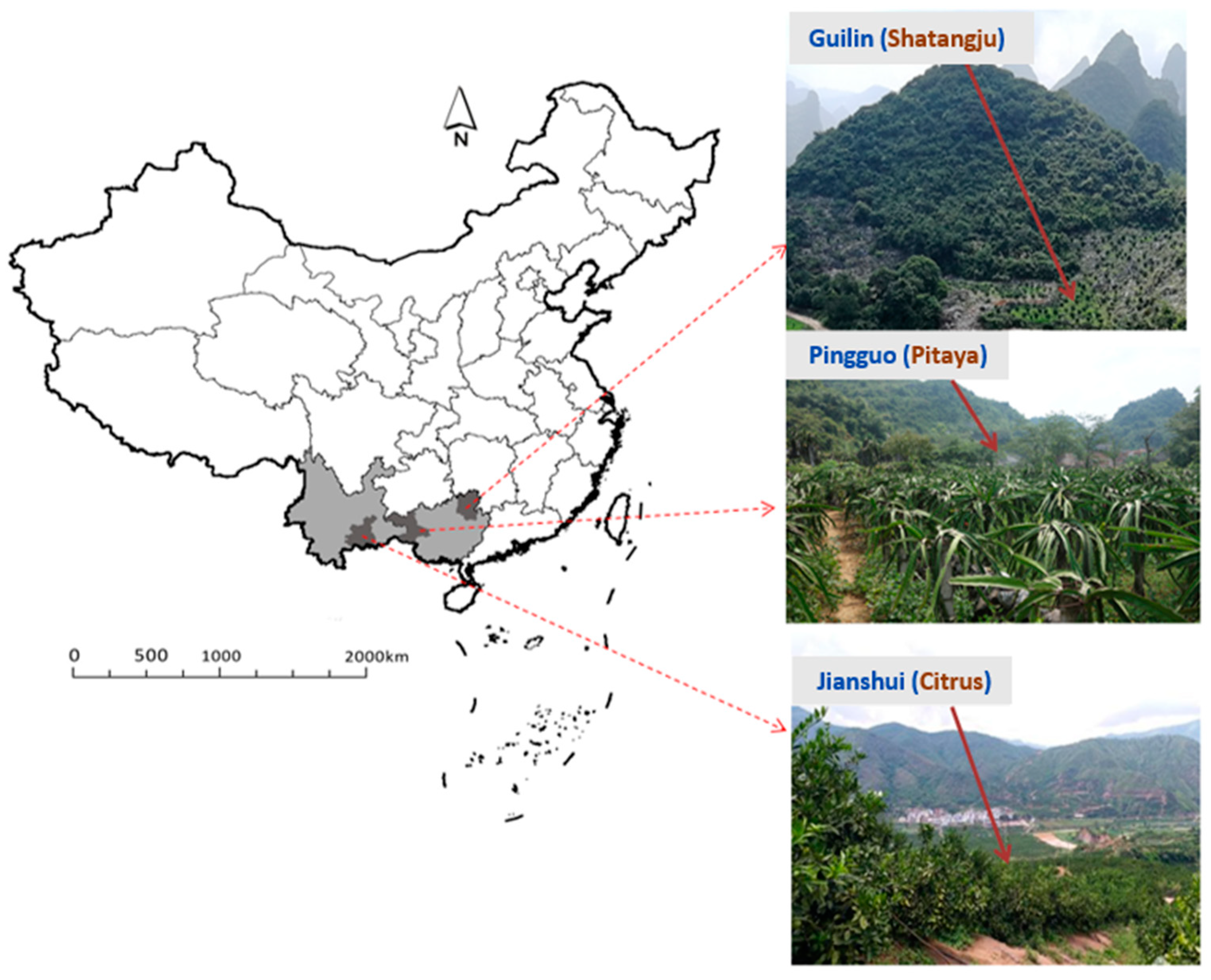 Forests 11 01282 g001 Forests 11 01282 g001