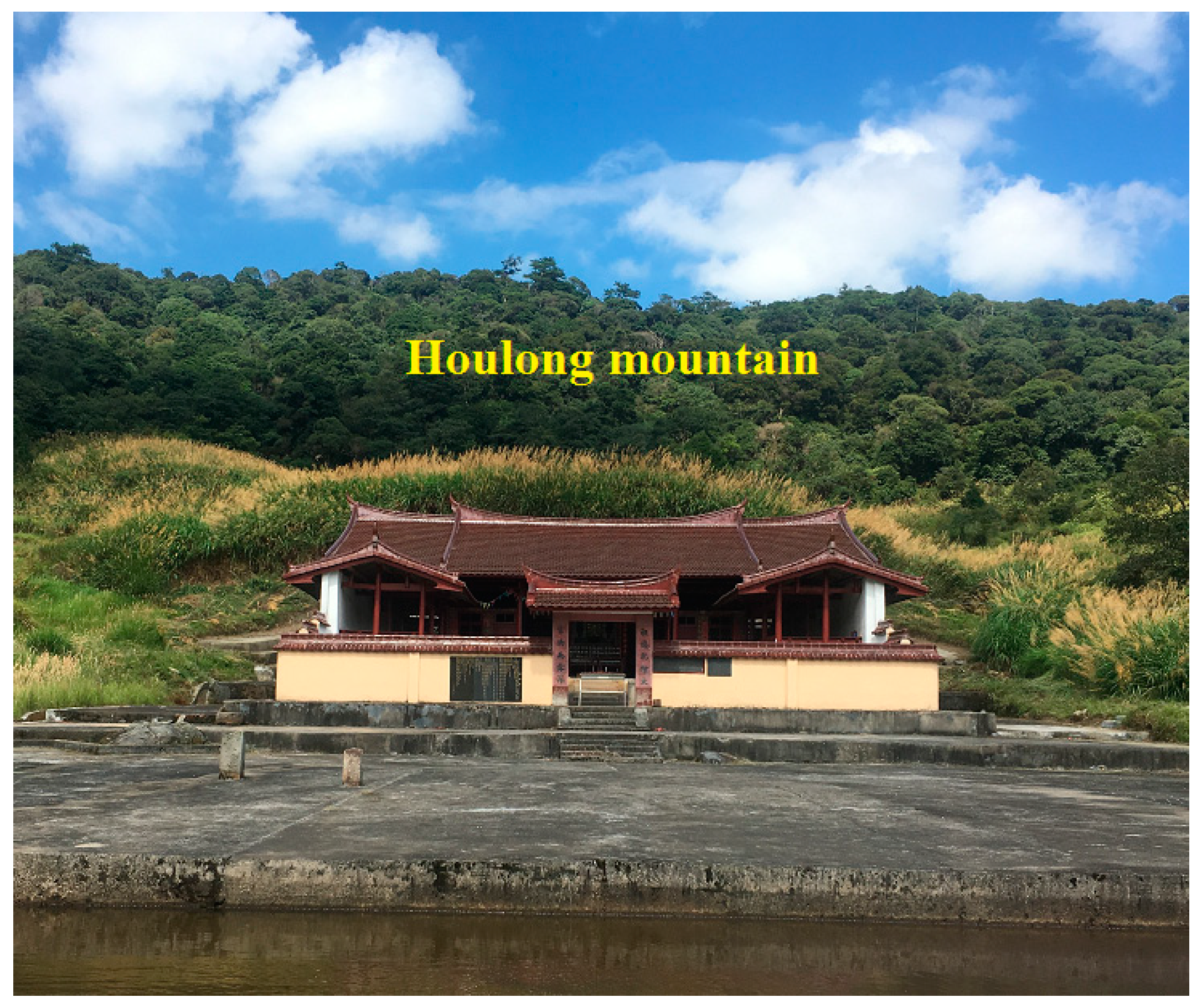 Forests 11 01286 g0a2