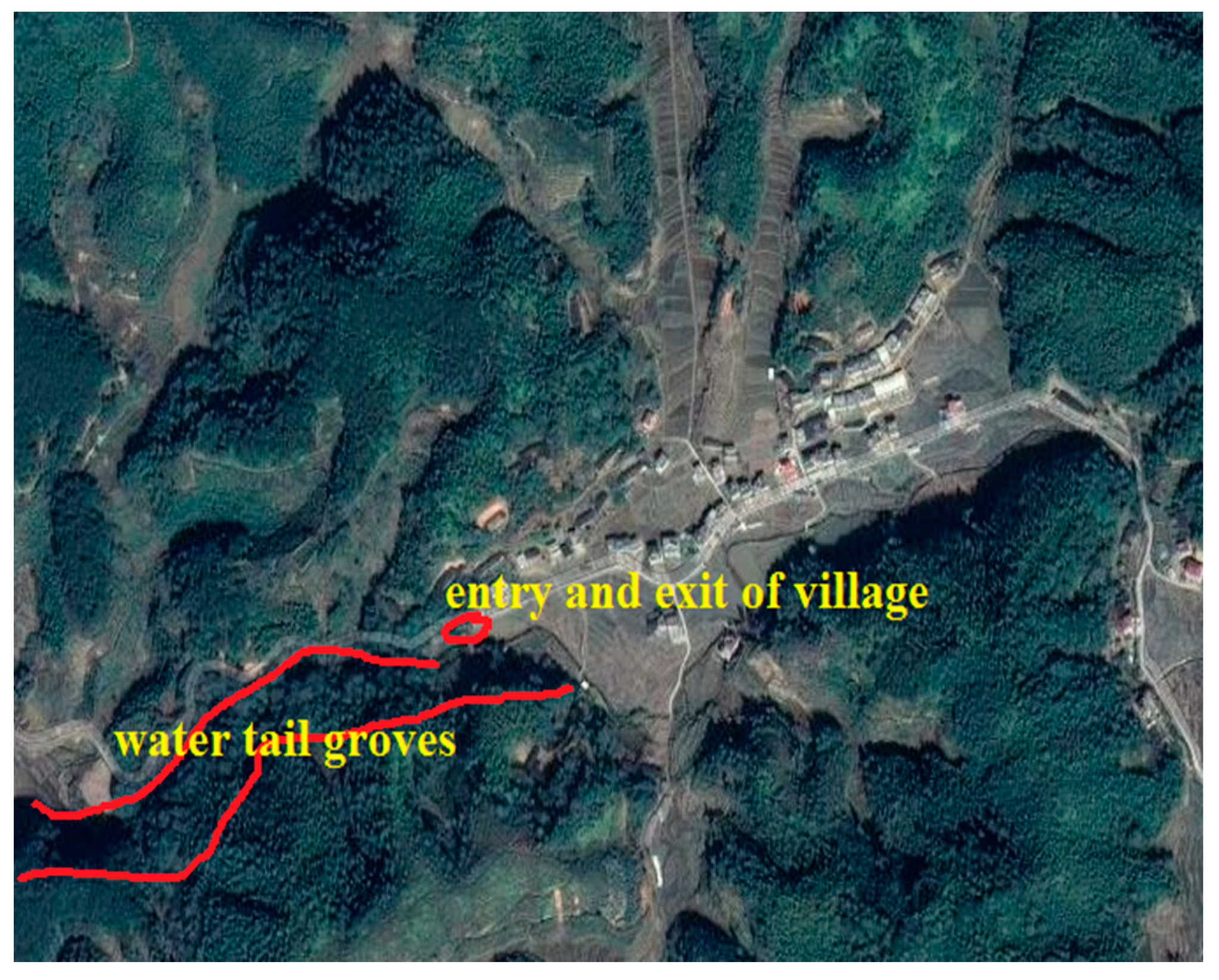 Forests 11 01286 g0a3