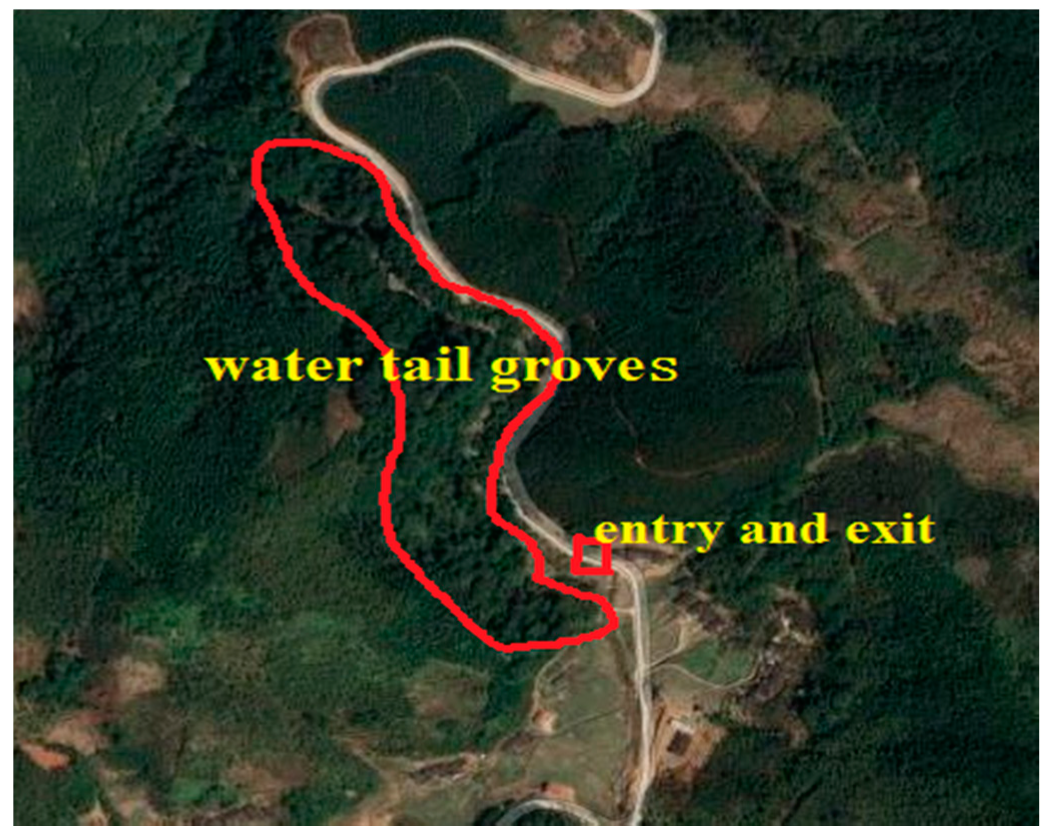 Forests 11 01286 g0a4