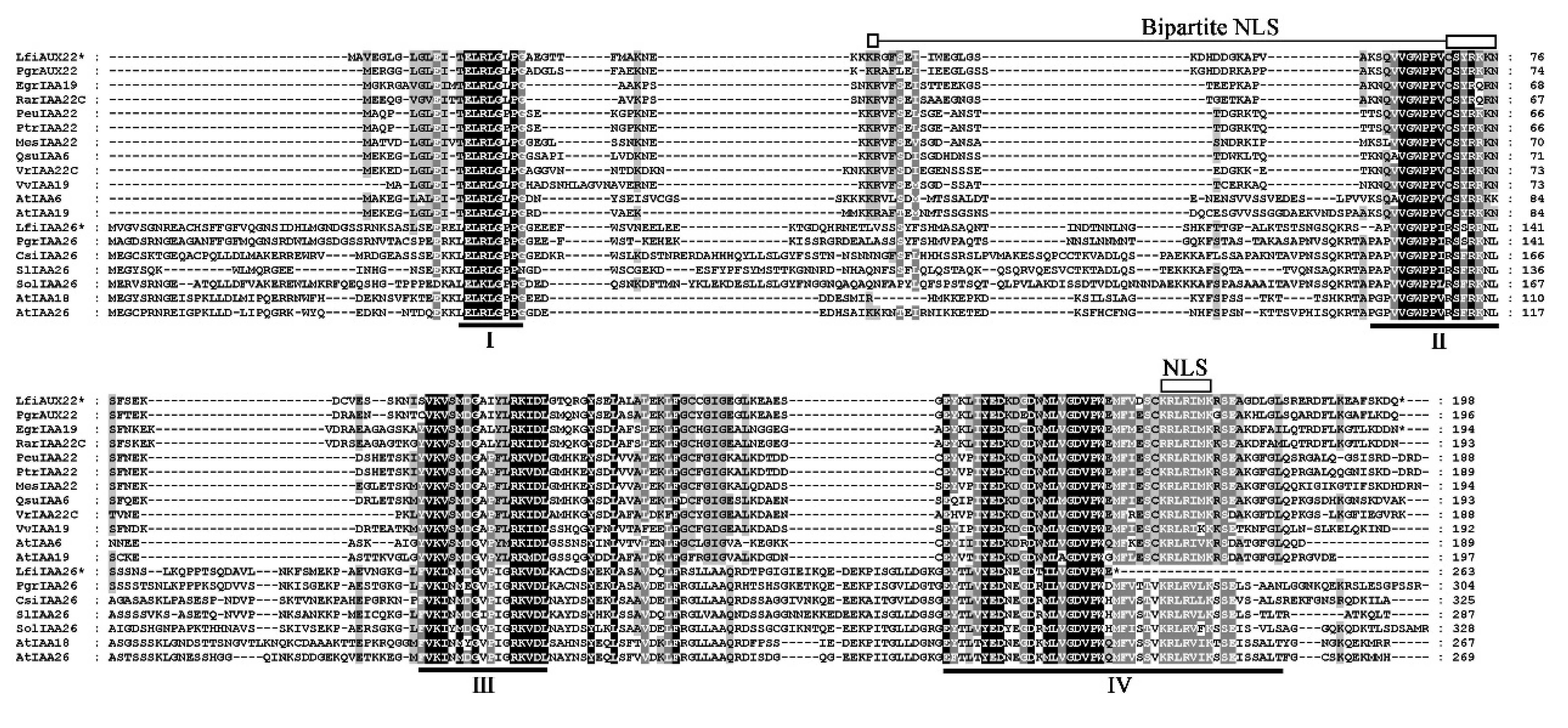 Forests 11 01288 g001 Forests 11 01288 g001