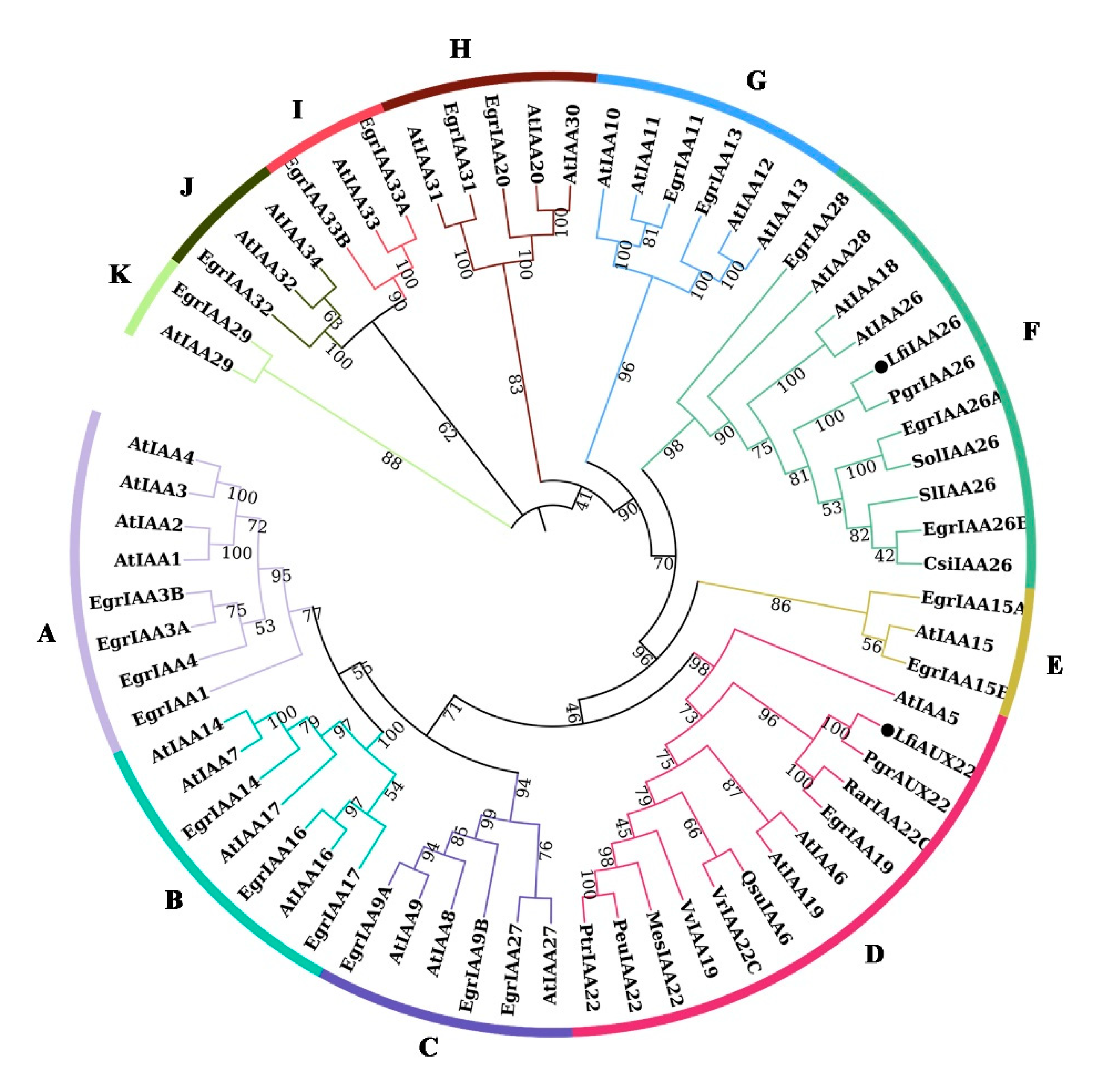 Forests 11 01288 g002 Forests 11 01288 g002