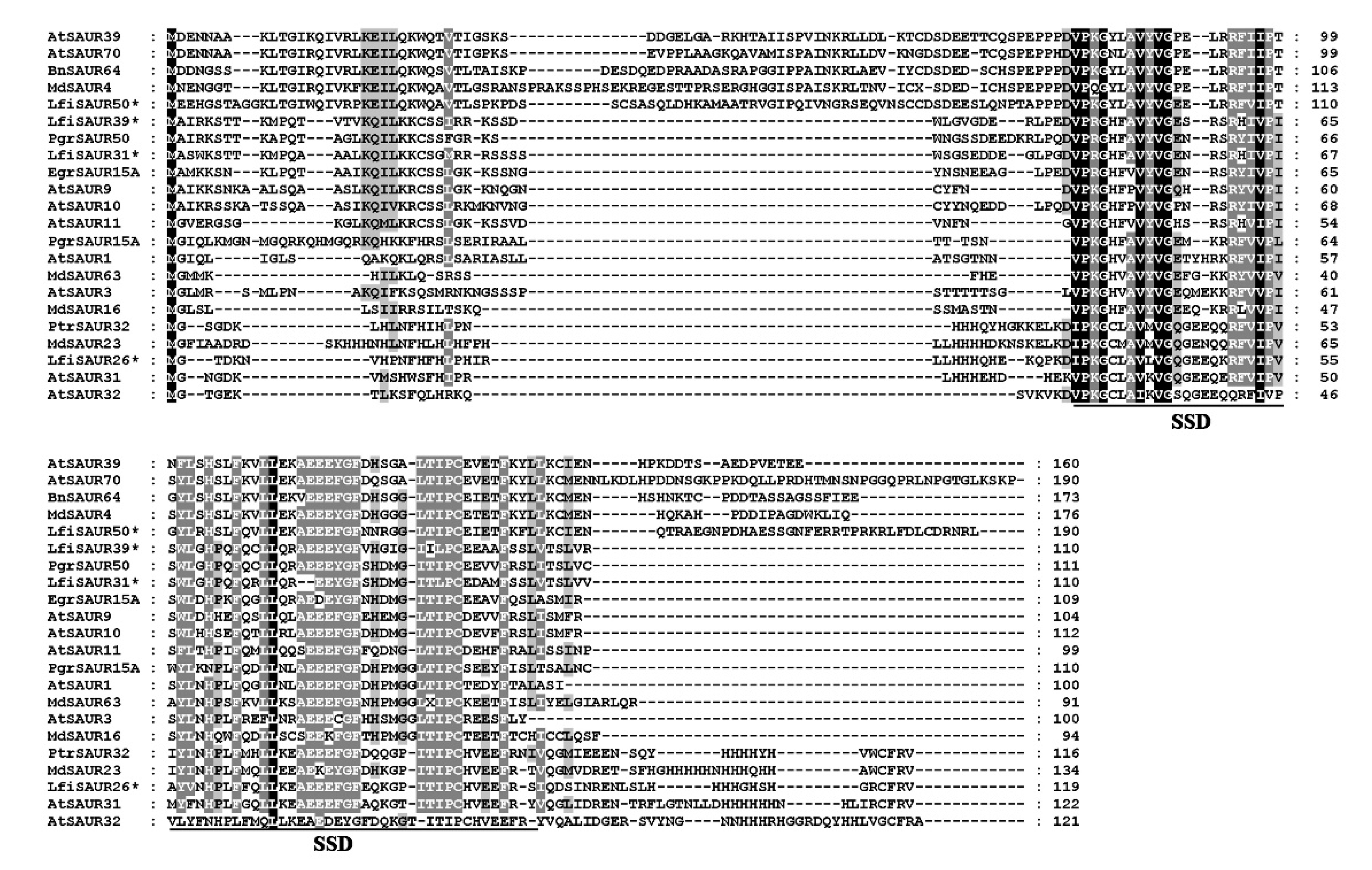 Forests 11 01288 g003 Forests 11 01288 g003