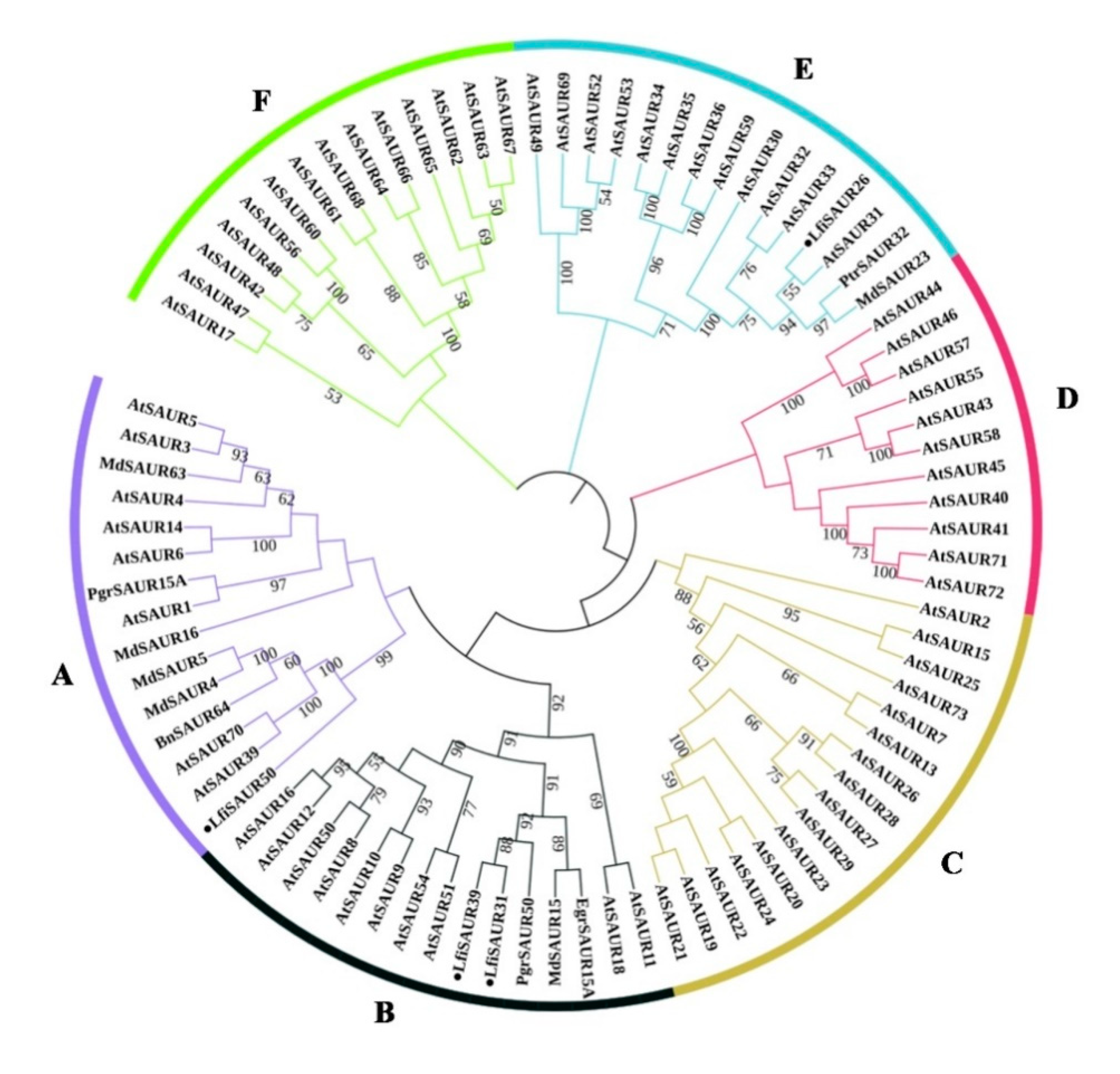 Forests 11 01288 g004 Forests 11 01288 g004