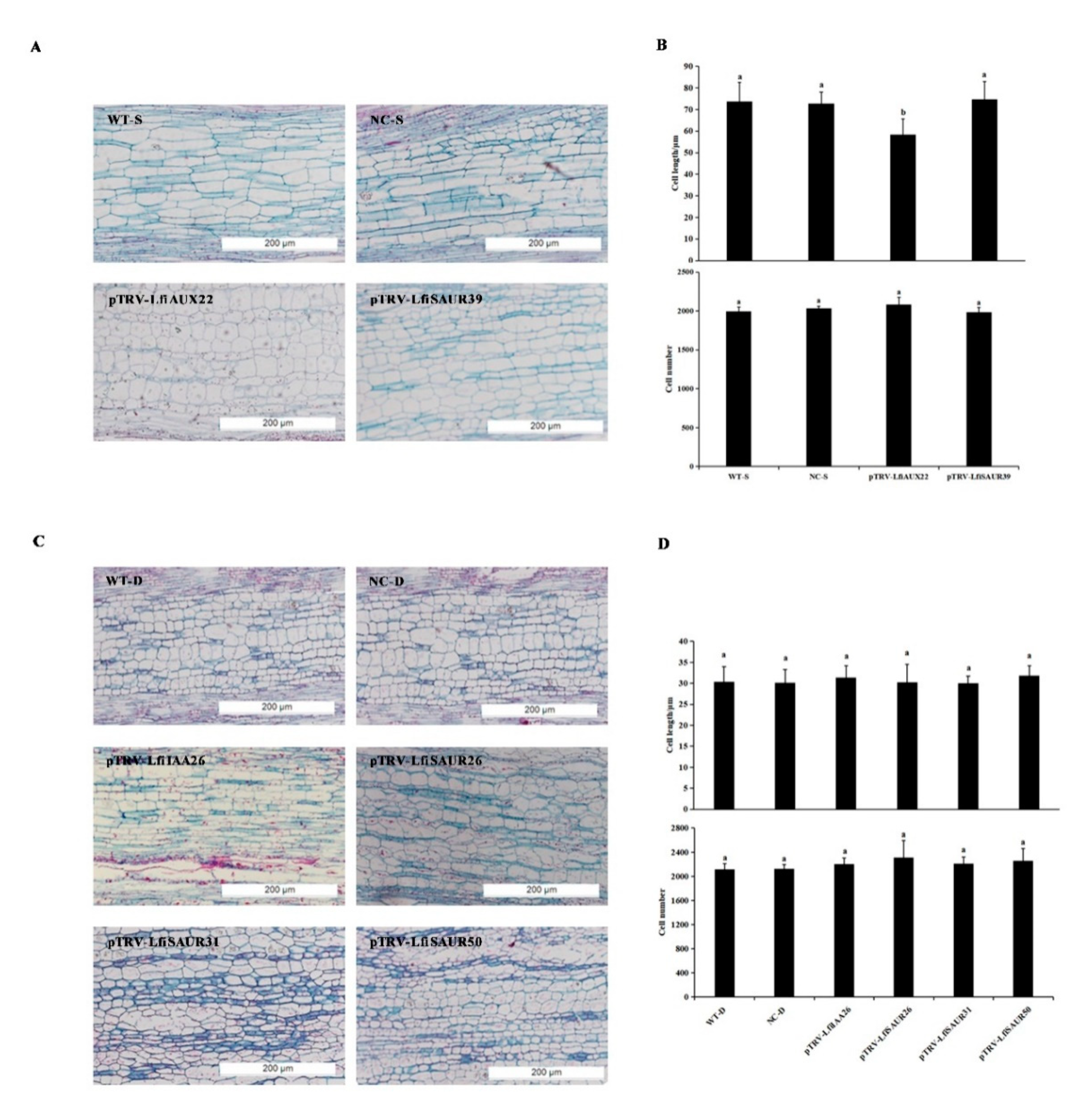 Forests 11 01288 g008 Forests 11 01288 g008