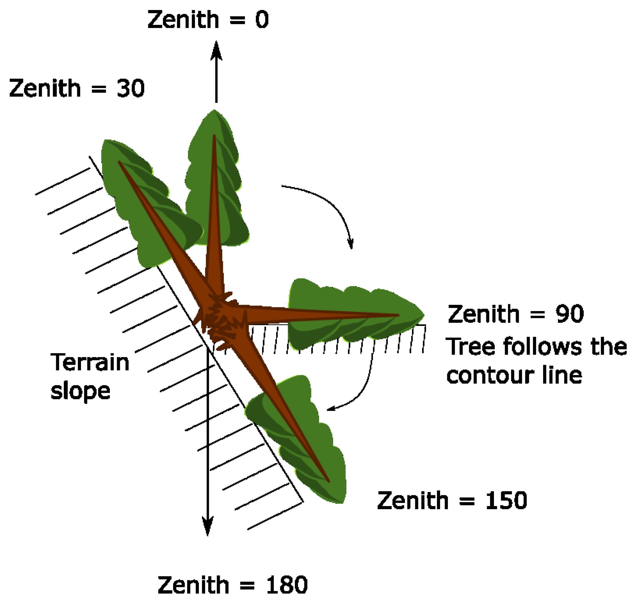 Forests 11 01290 g003
