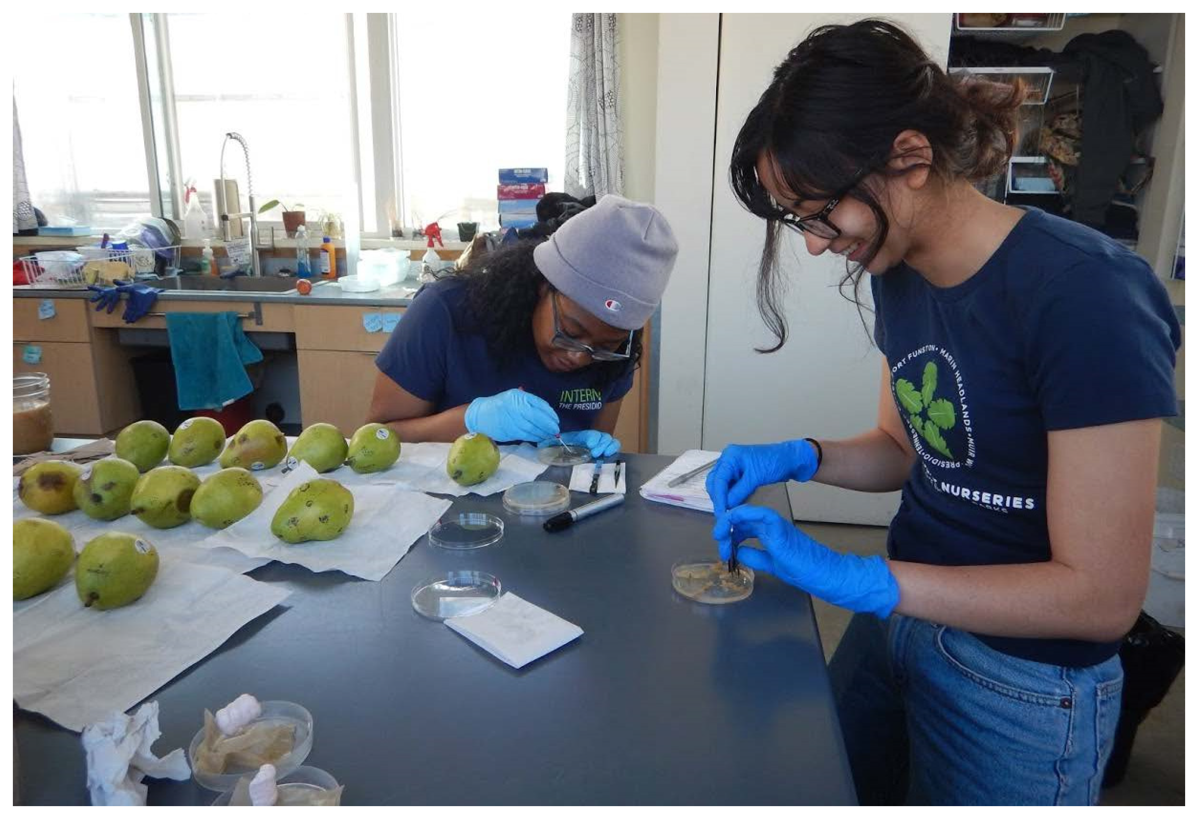 Forests 11 01291 g003