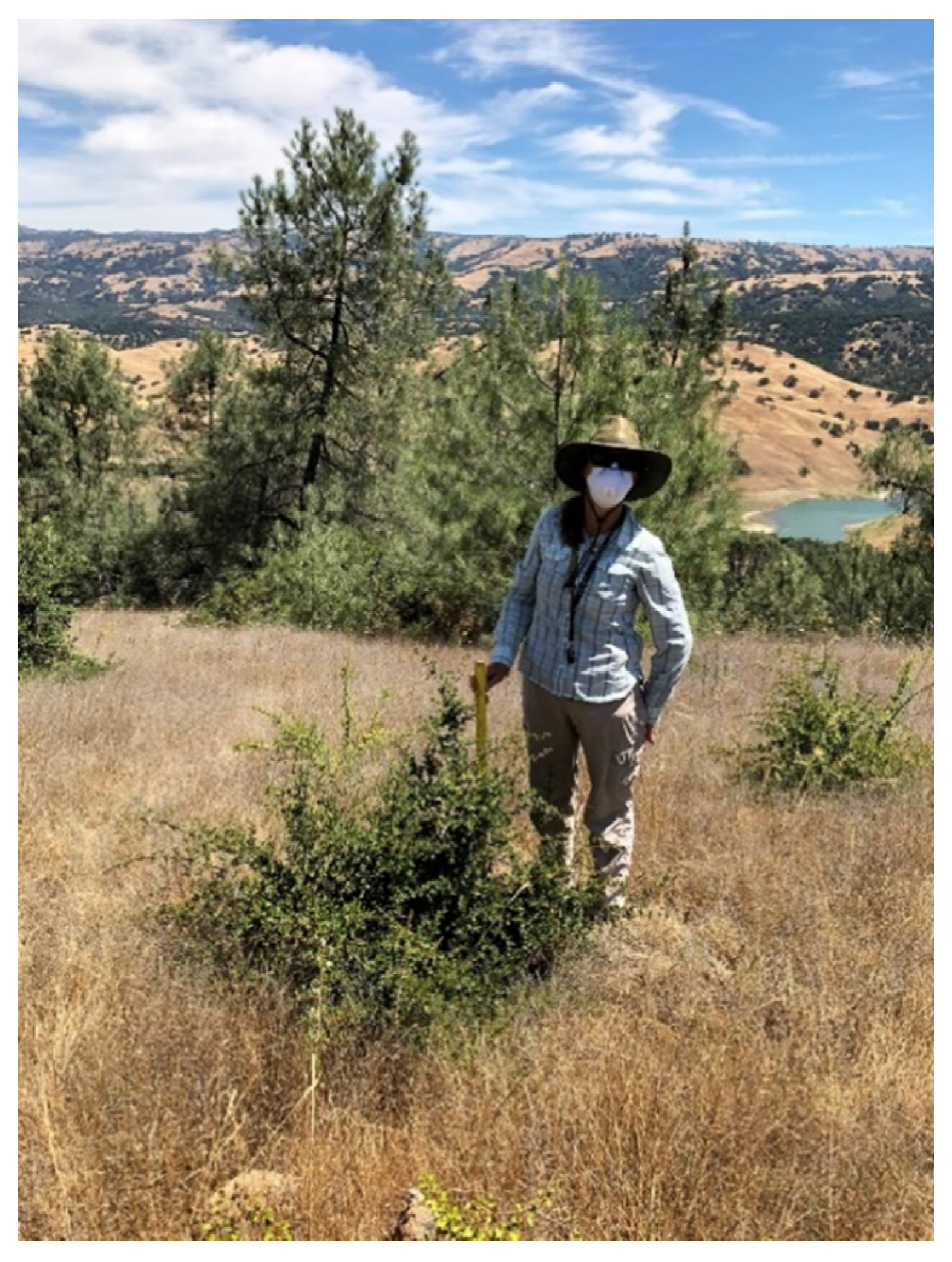 Forests 11 01291 g006