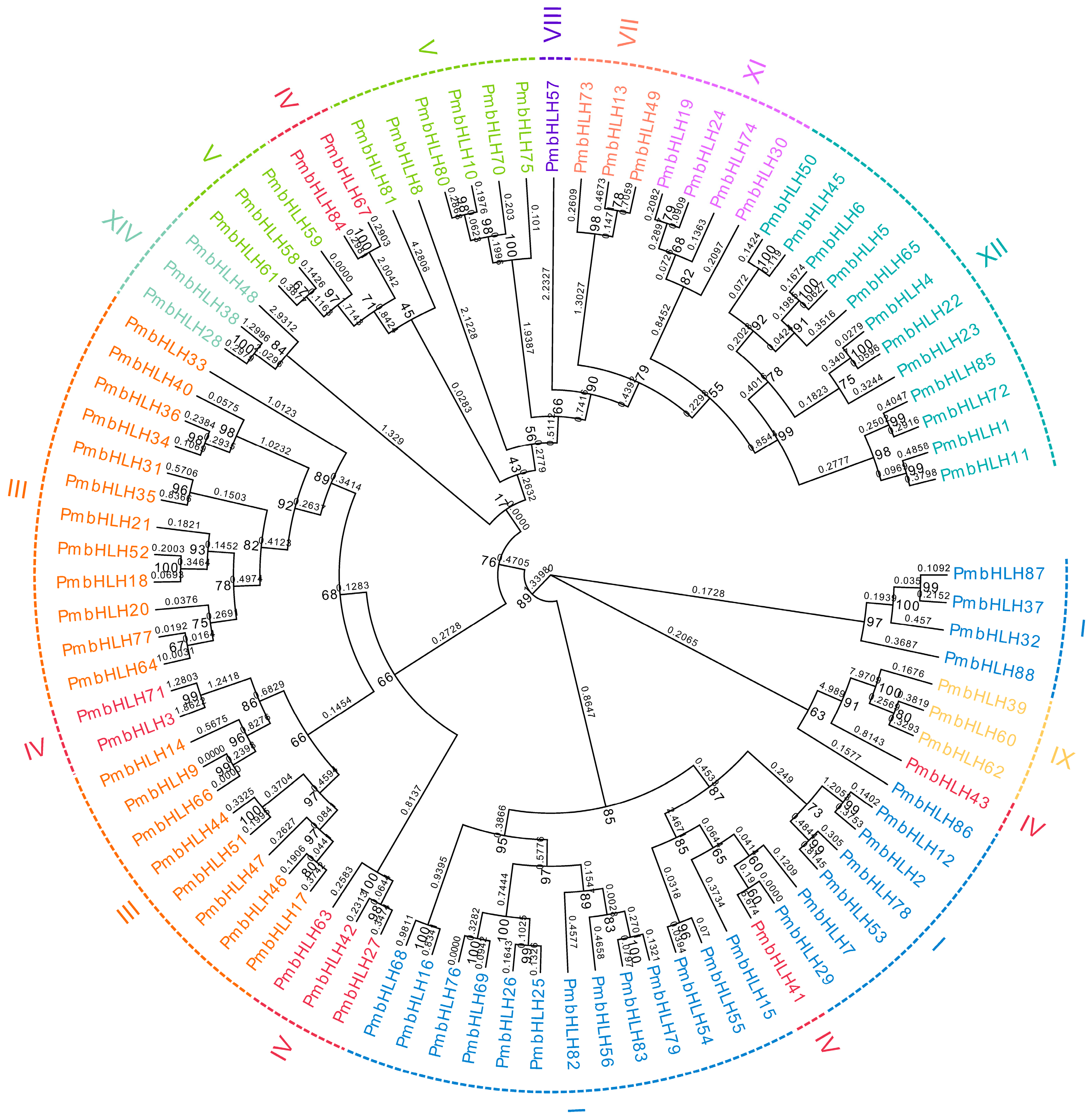 Forests 11 01292 g001 Forests 11 01292 g001