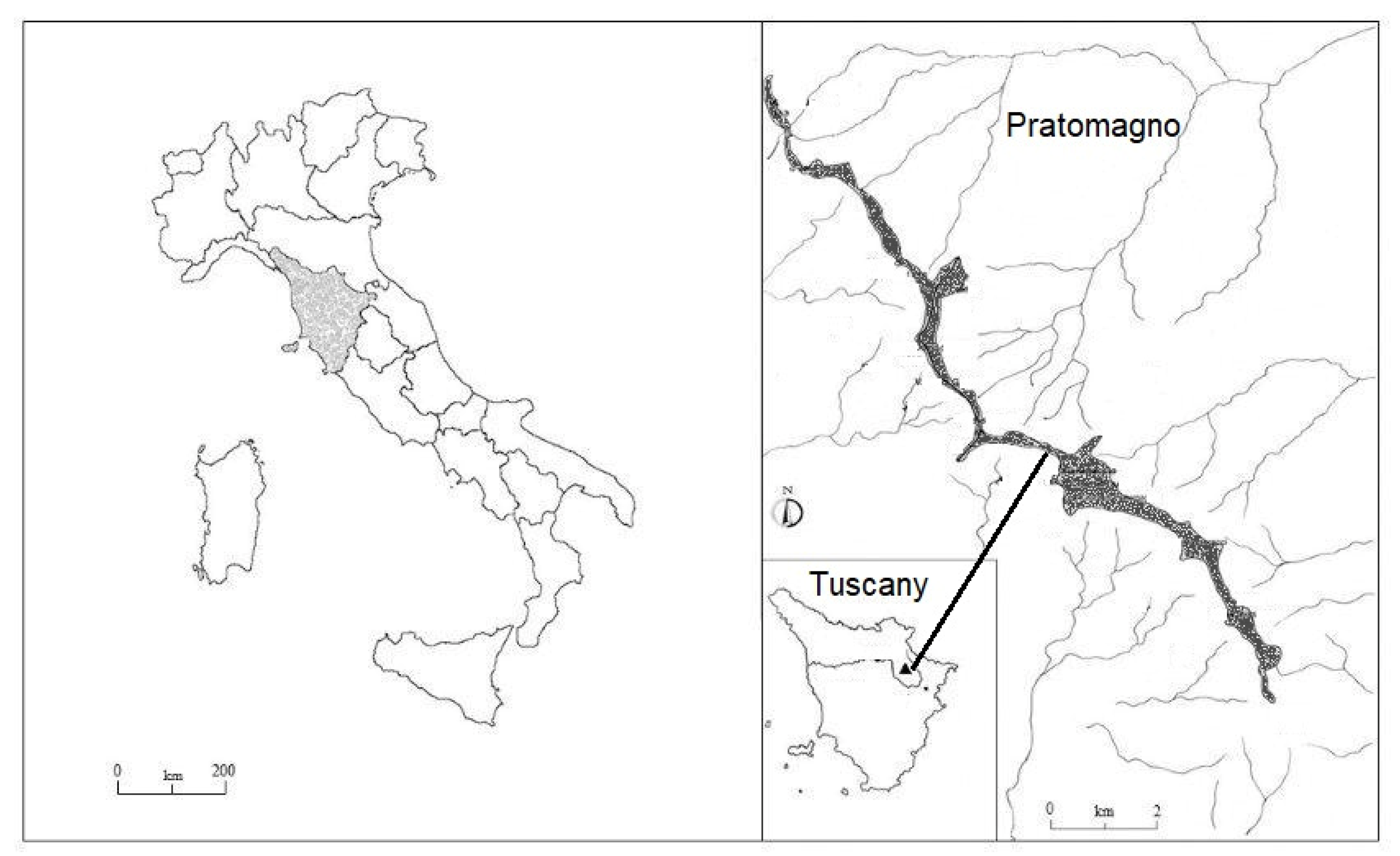 Forests 11 01295 g001 Forests 11 01295 g001
