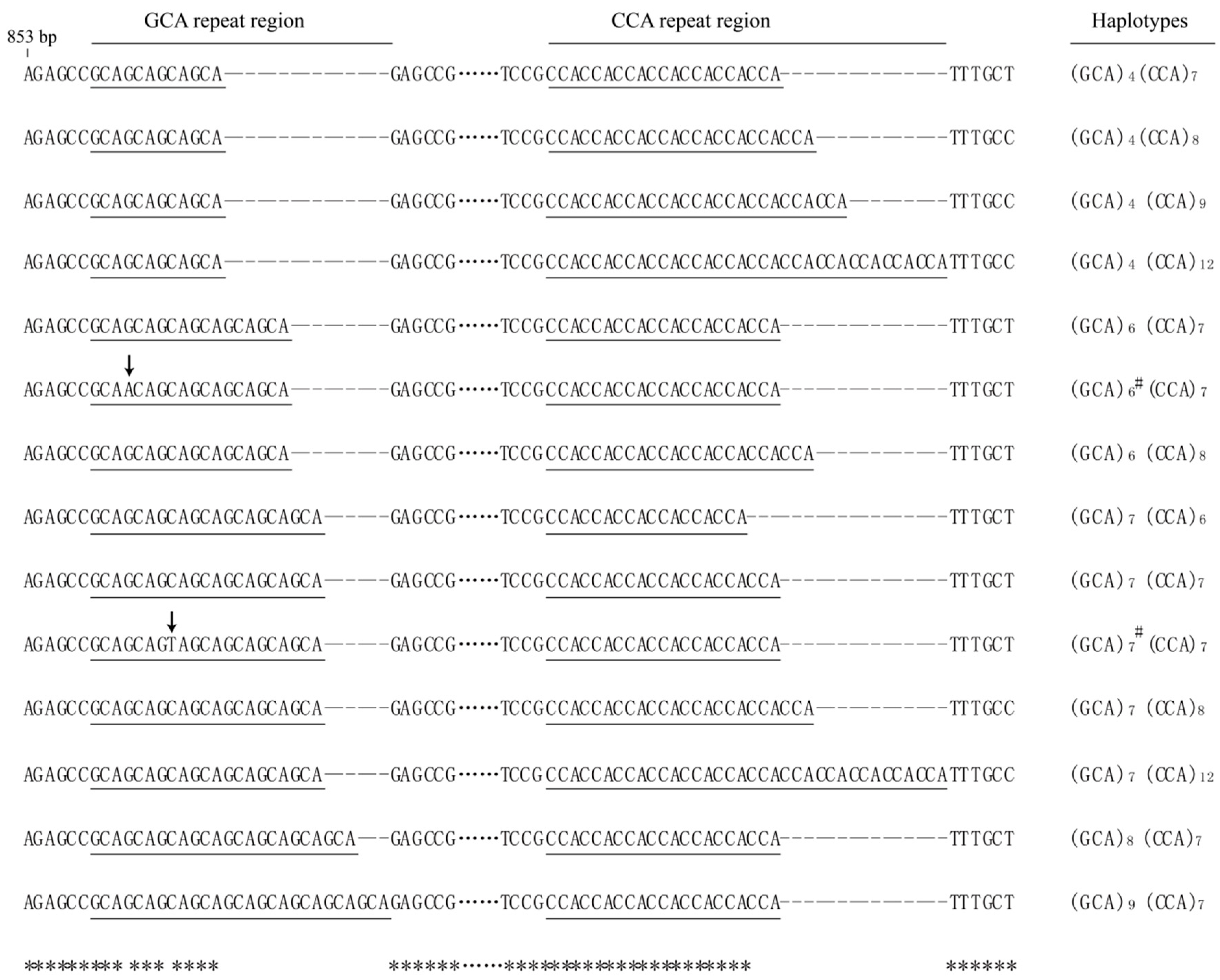 Forests 11 01296 g001 Forests 11 01296 g001