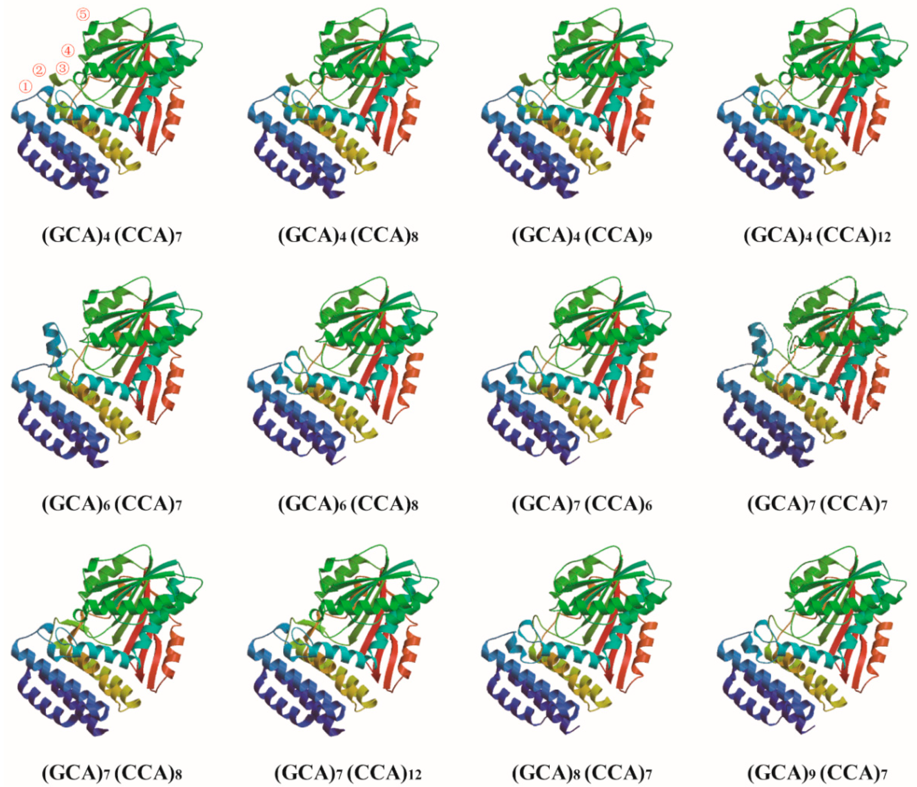 Forests 11 01296 g002 Forests 11 01296 g002