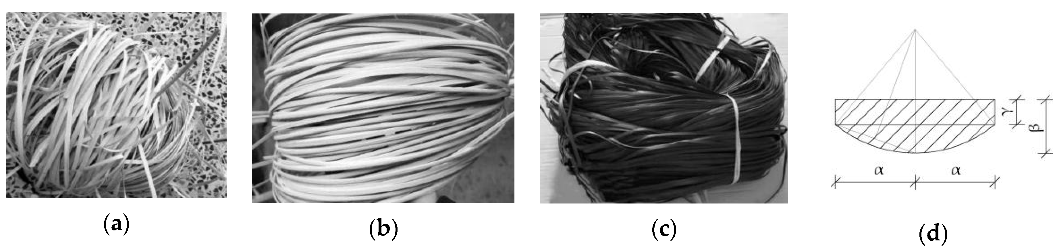 Forests 11 01299 g001 550