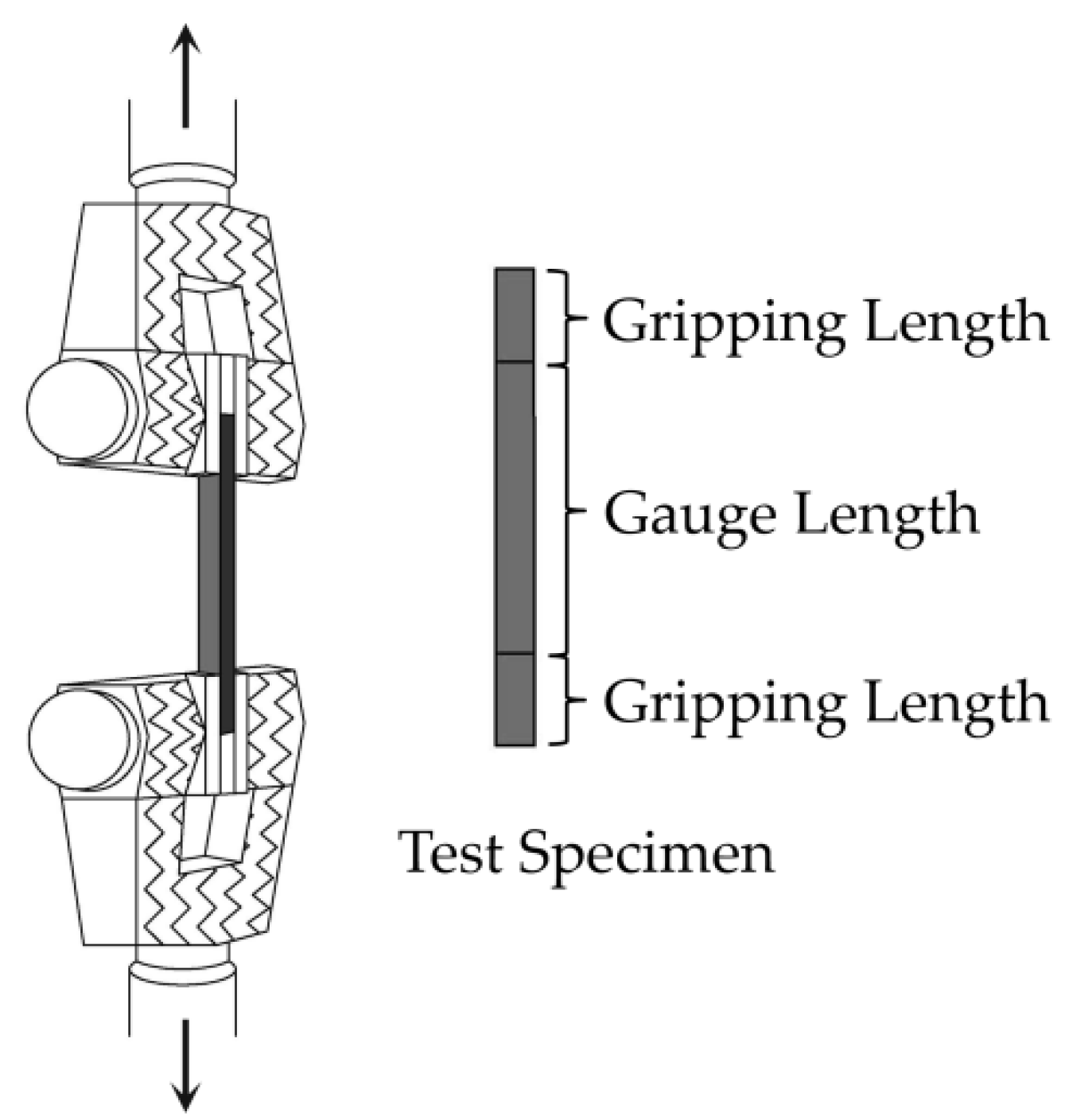 Forests 11 01299 g002 550