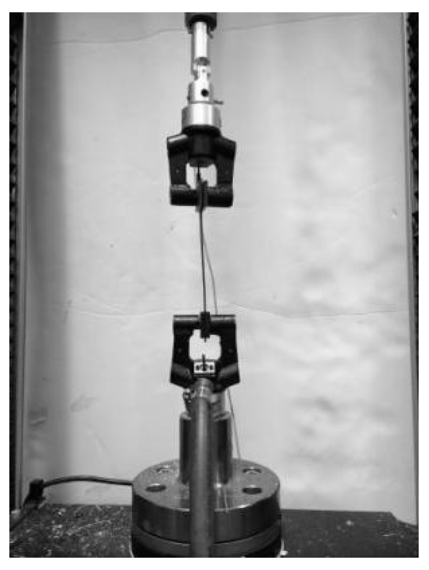 Forests 11 01299 g004 550