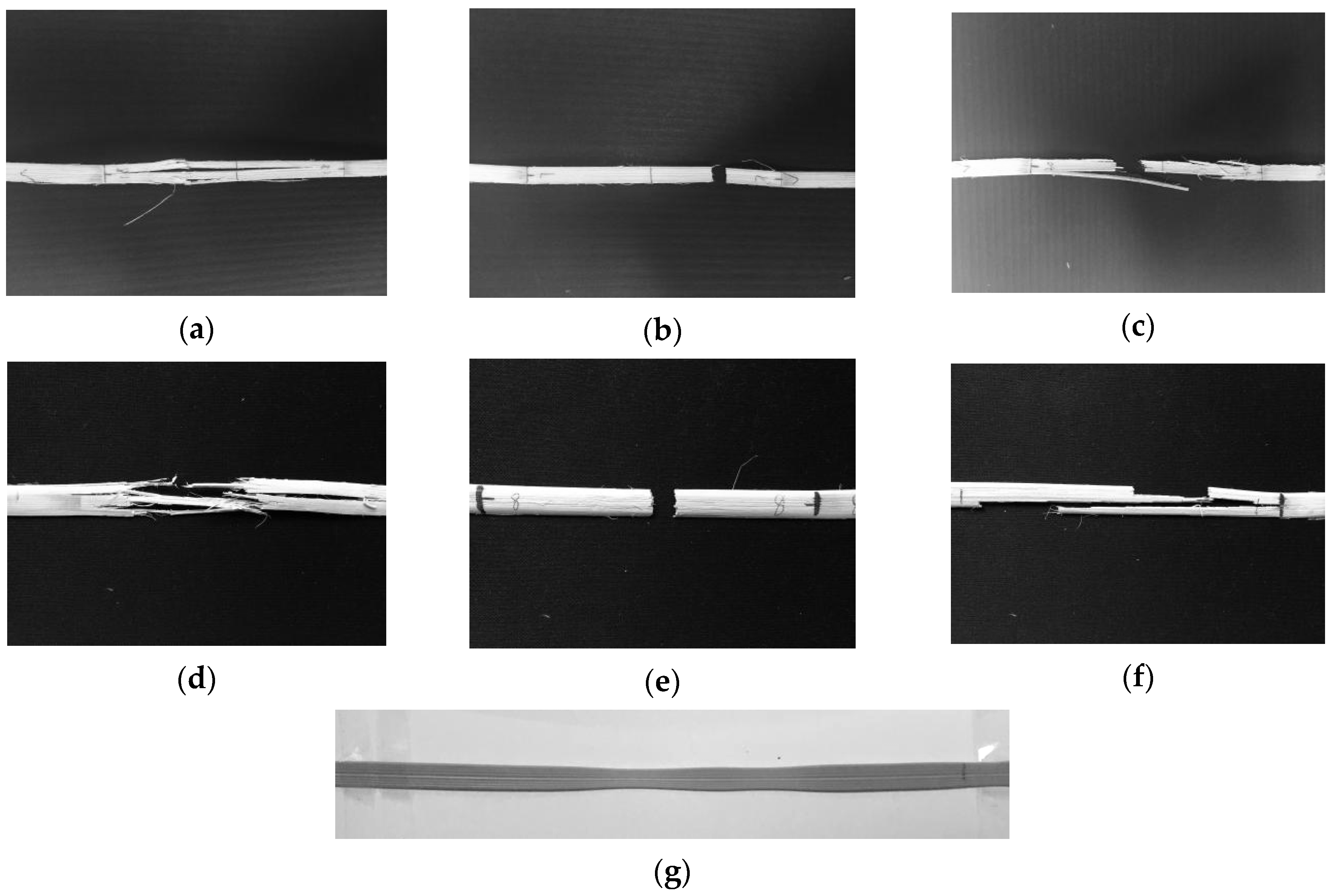 Forests 11 01299 g005 550