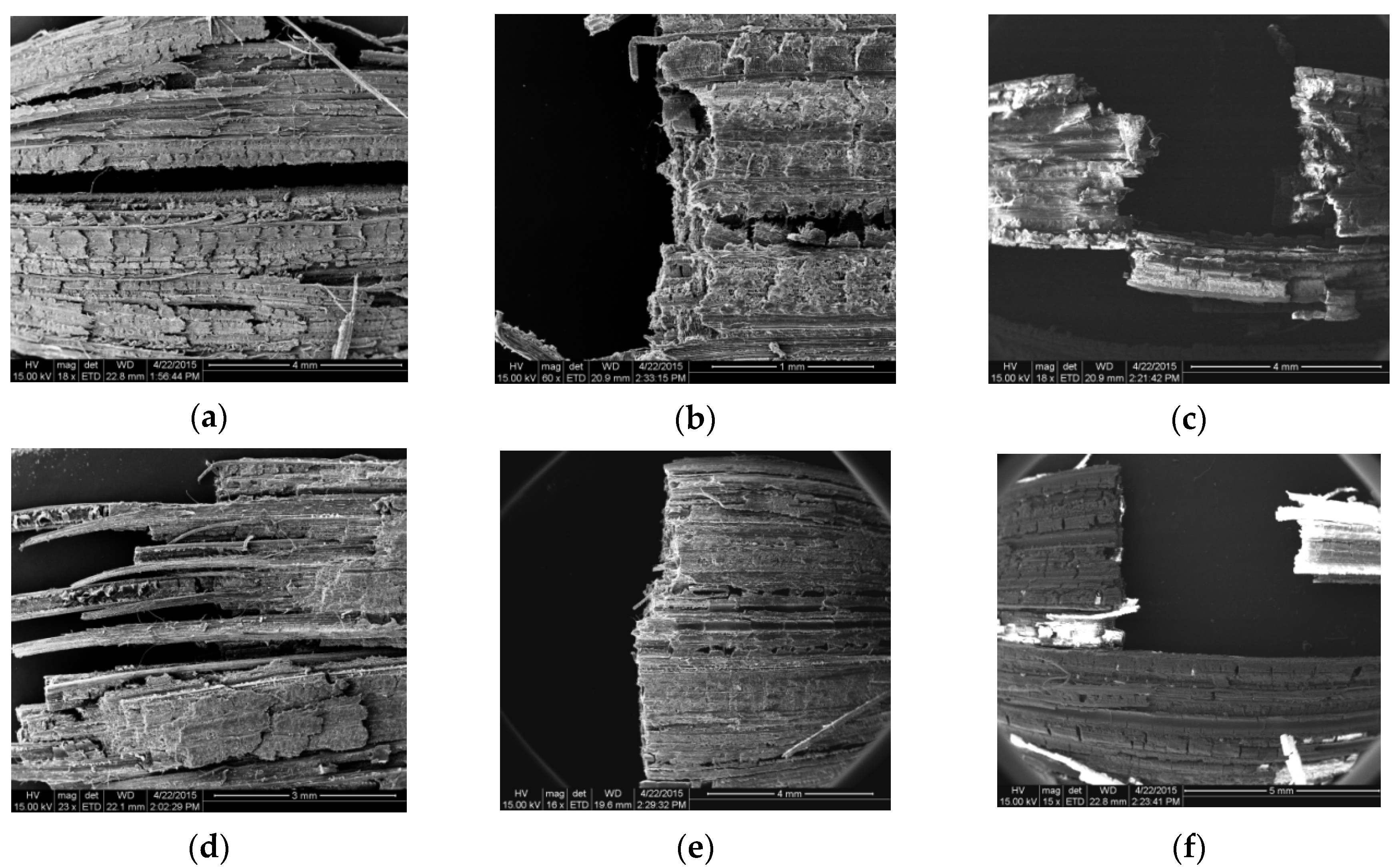 Forests 11 01299 g006 550