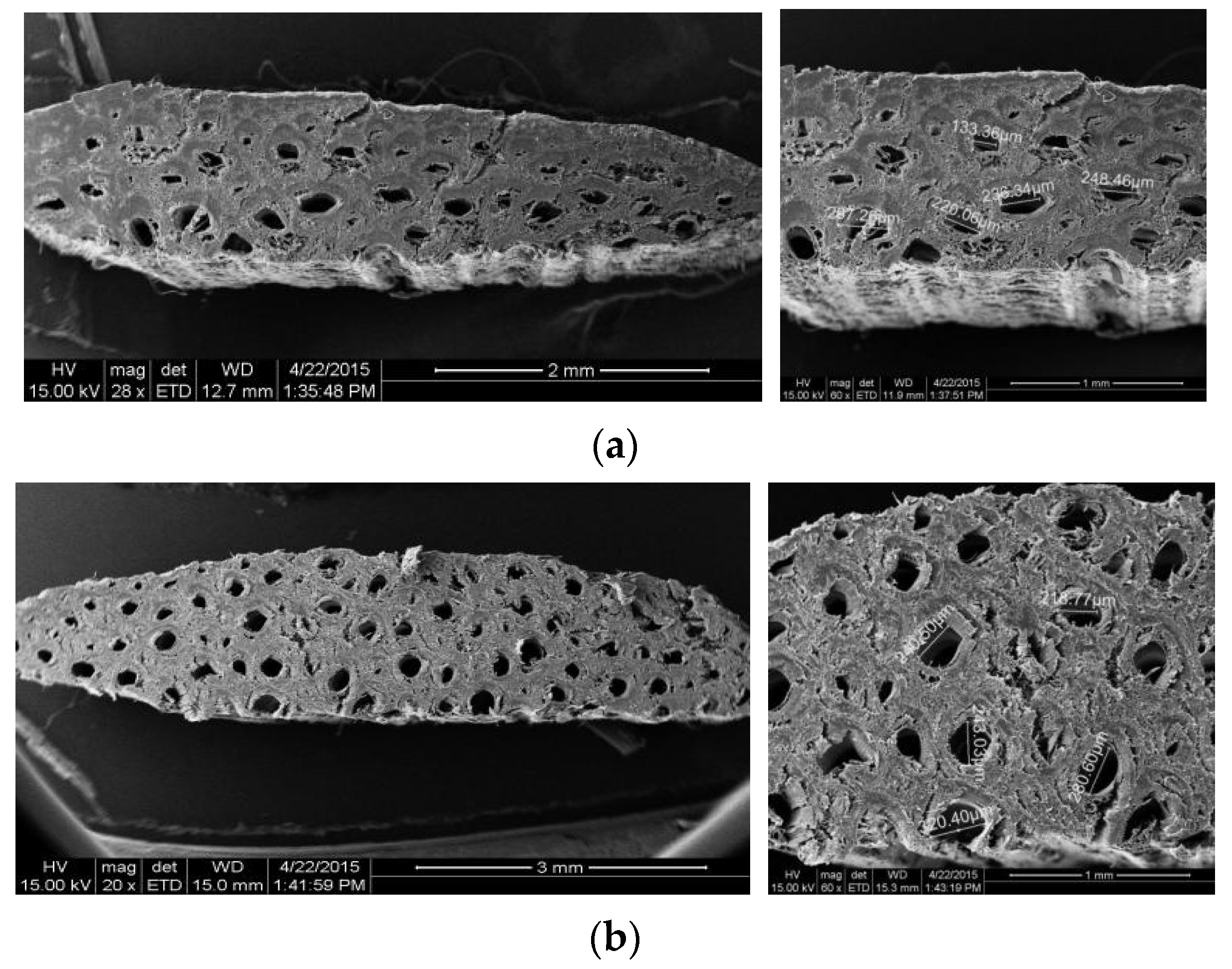 Forests 11 01299 g007 550