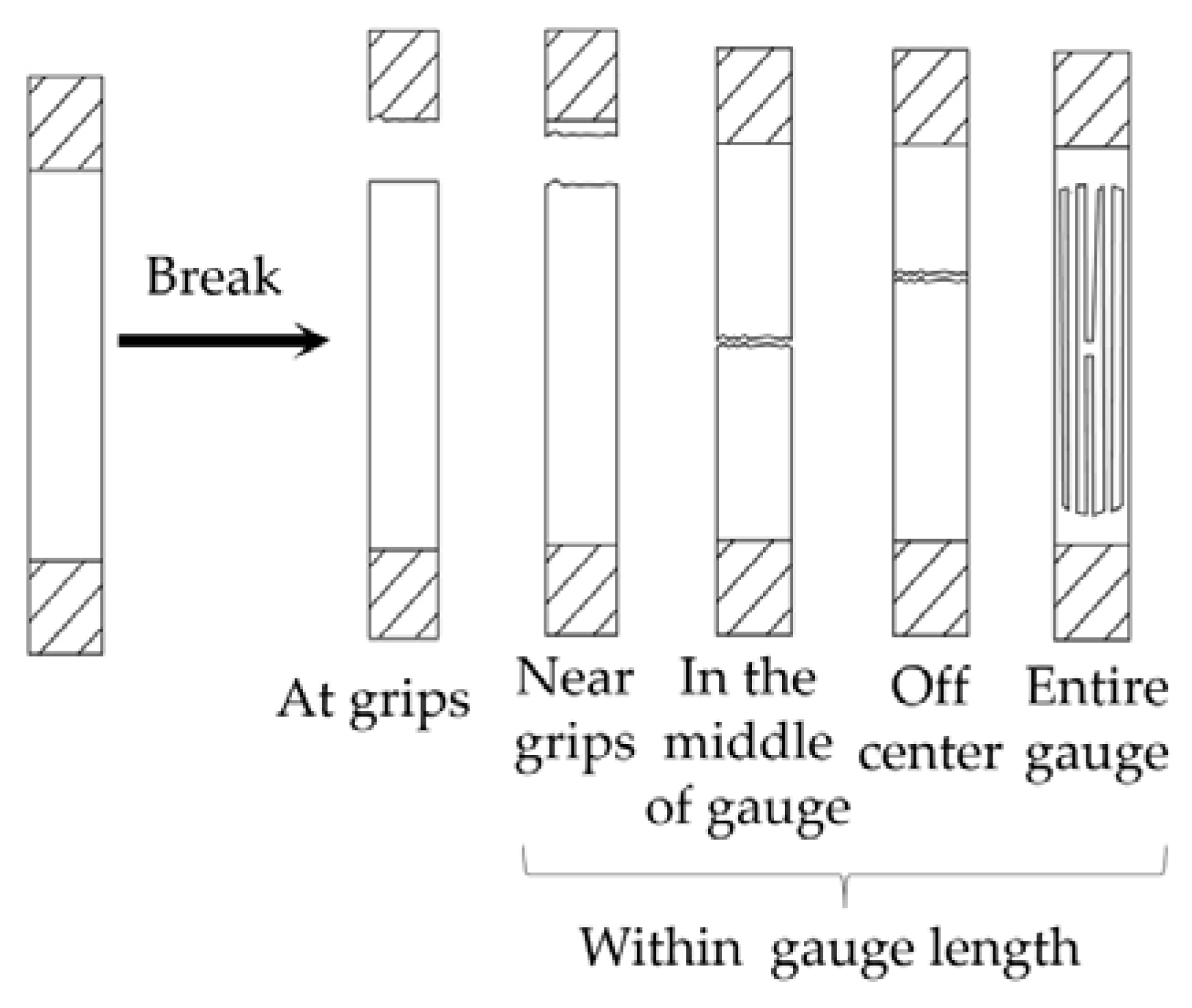 Forests 11 01299 g008 550