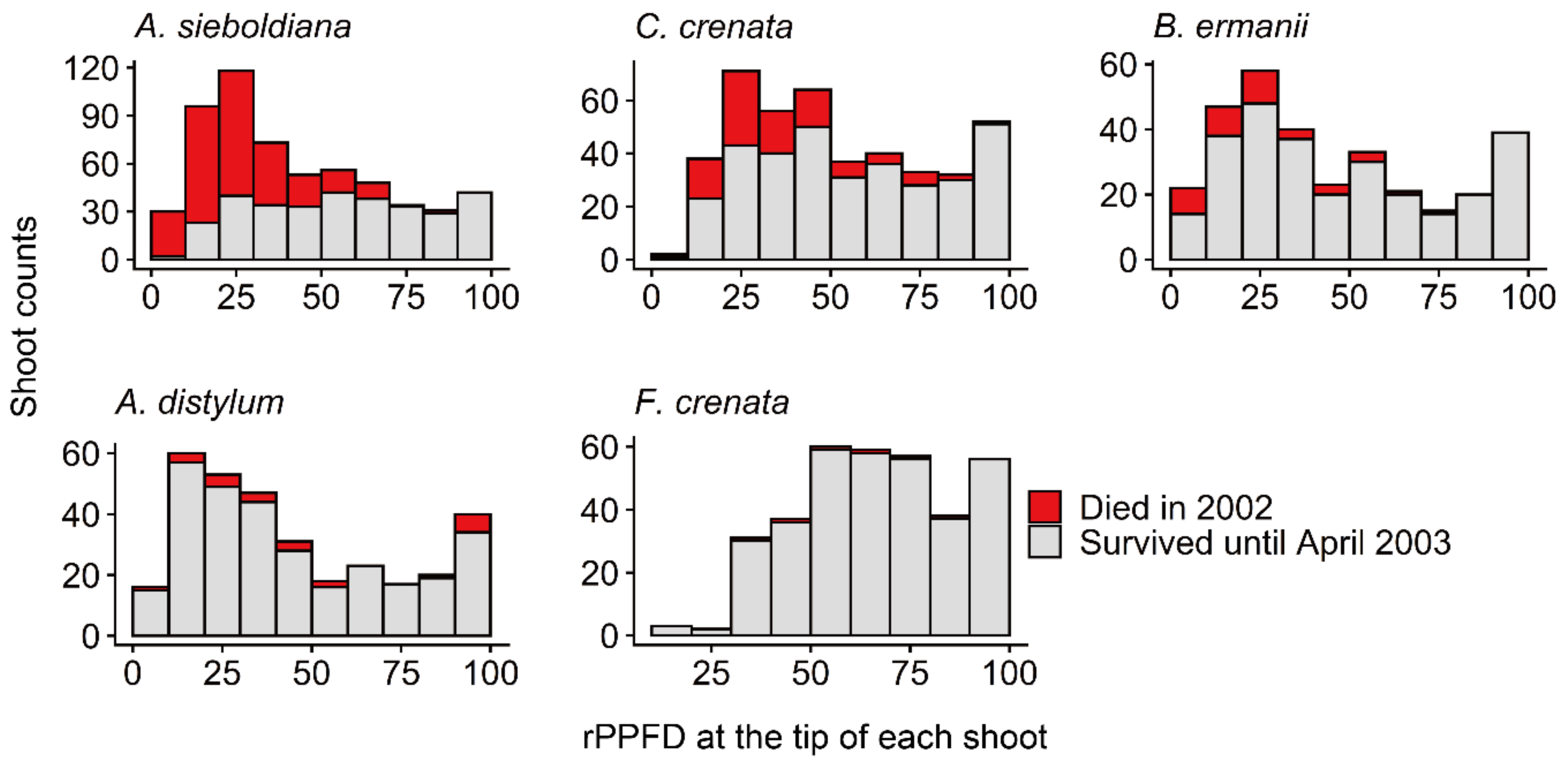 Forests 11 01301 g004 Forests 11 01301 g004