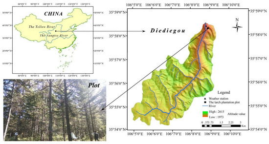 ＭＭ　Y s-l1200.jpg
