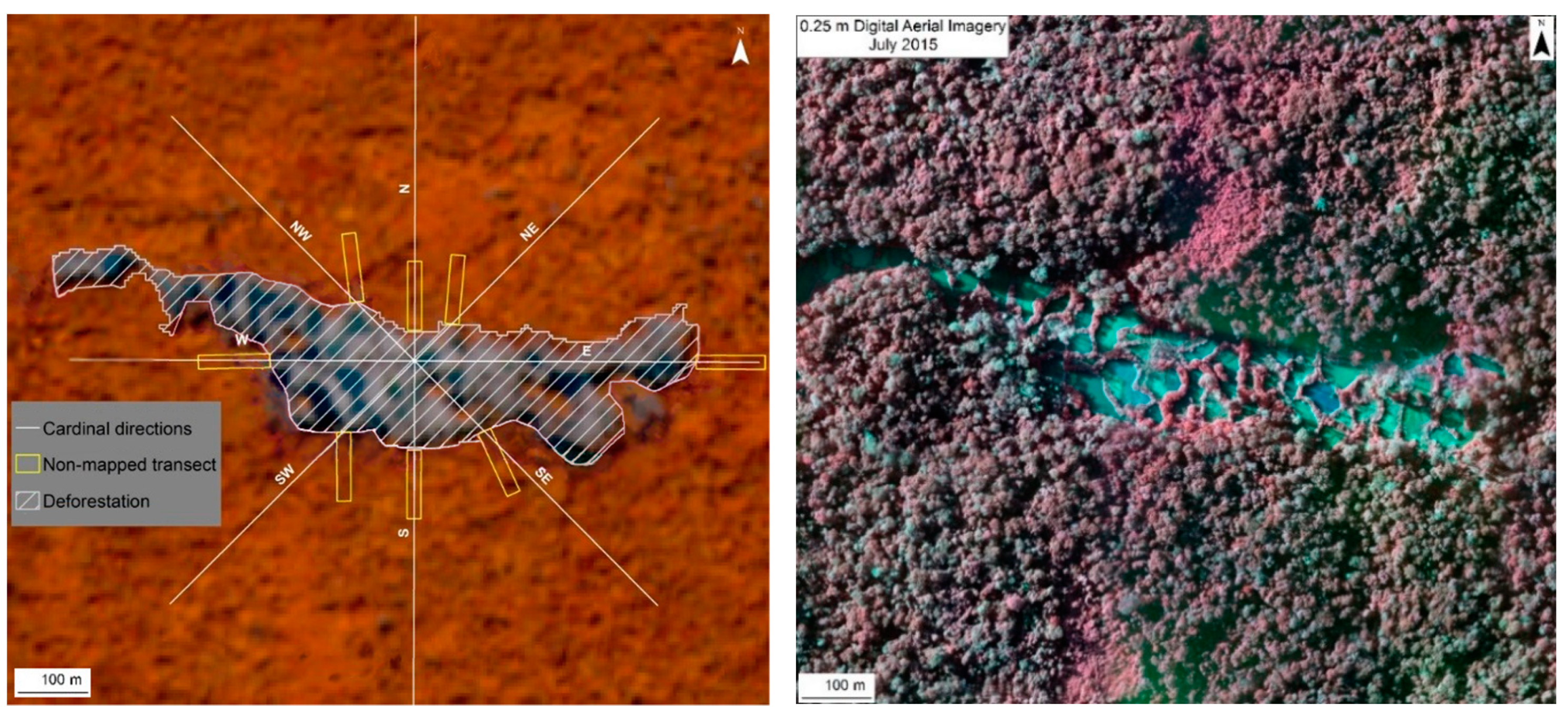 Forests 11 01307 g002 Forests 11 01307 g002