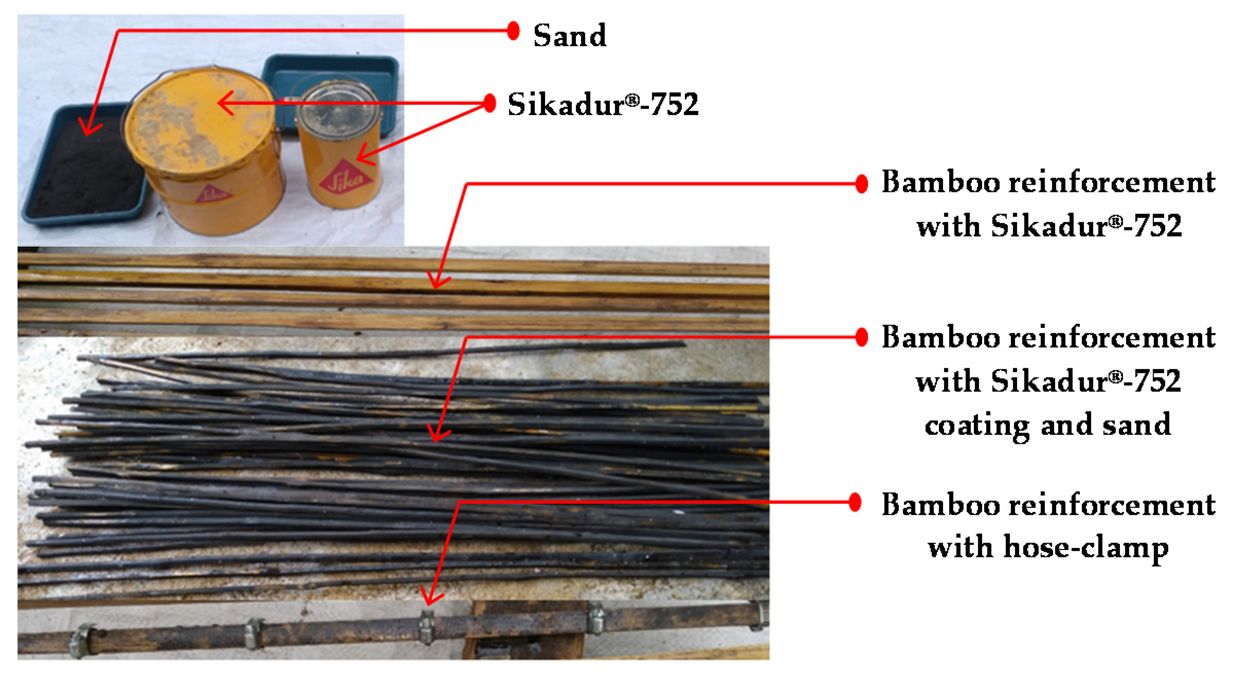 Forests 11 01313 g001