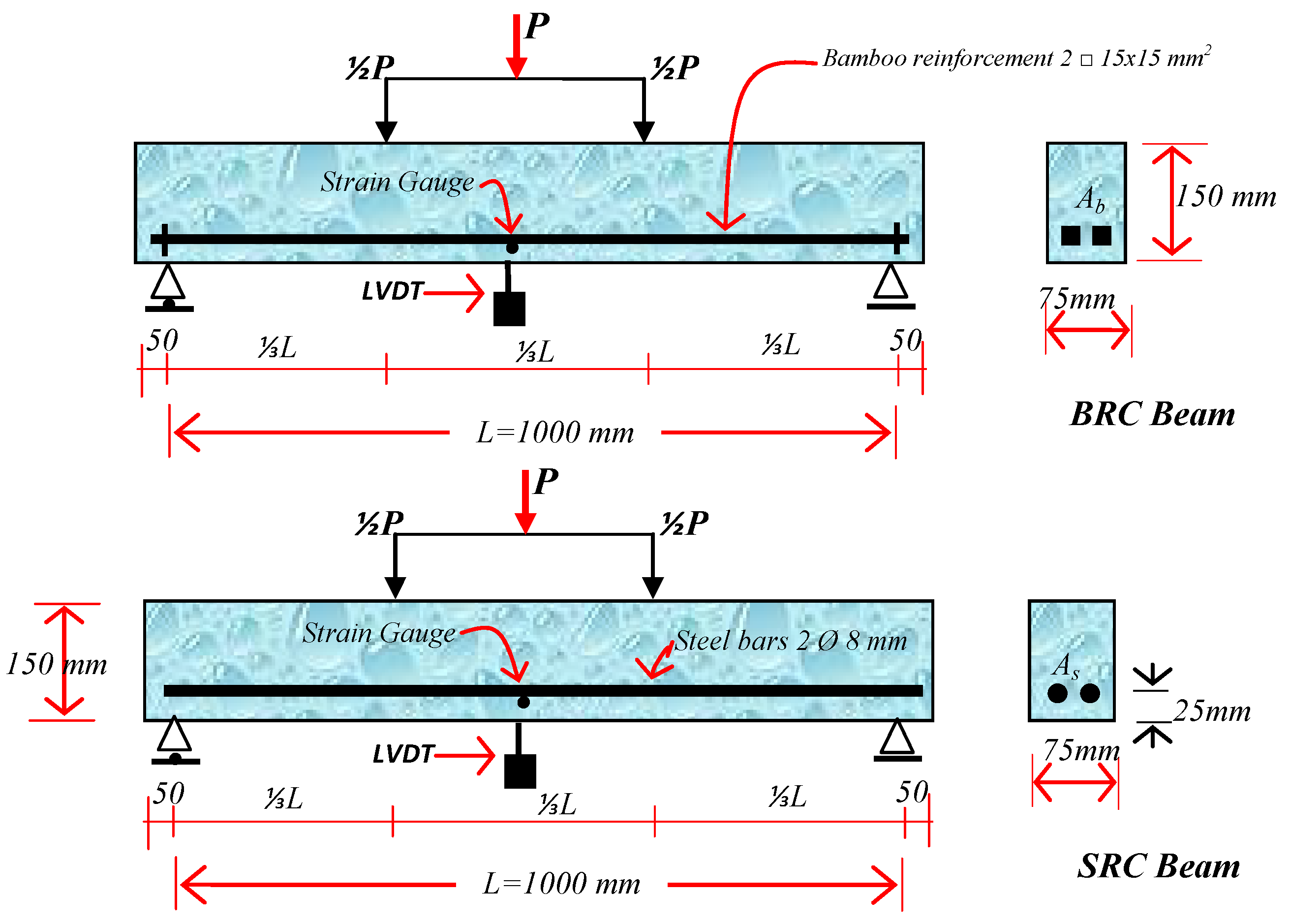 Forests 11 01313 g002