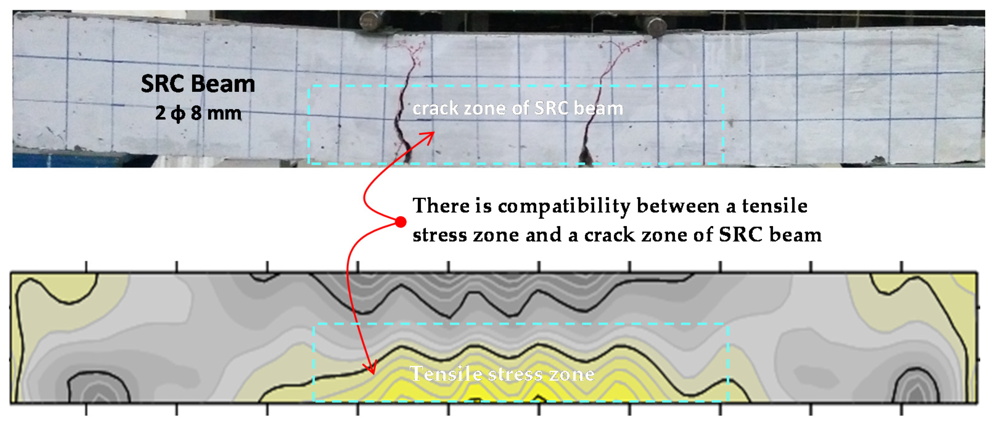 Forests 11 01313 g024