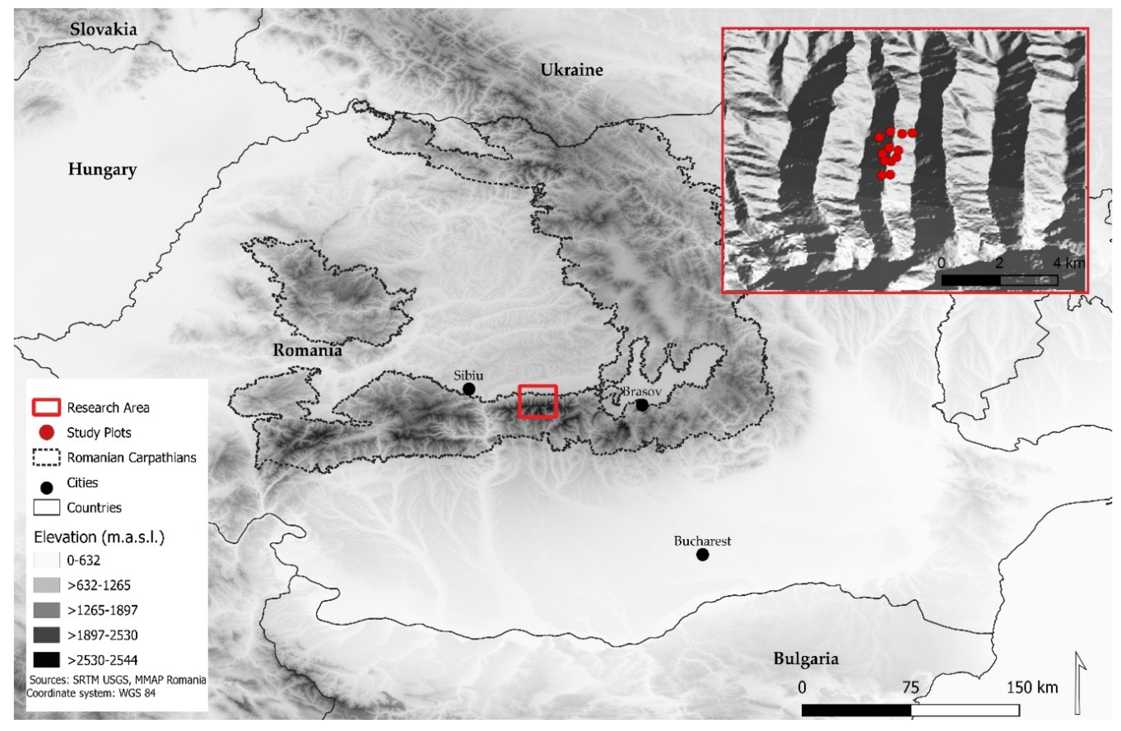 Forests 11 01315 g001 Forests 11 01315 g001