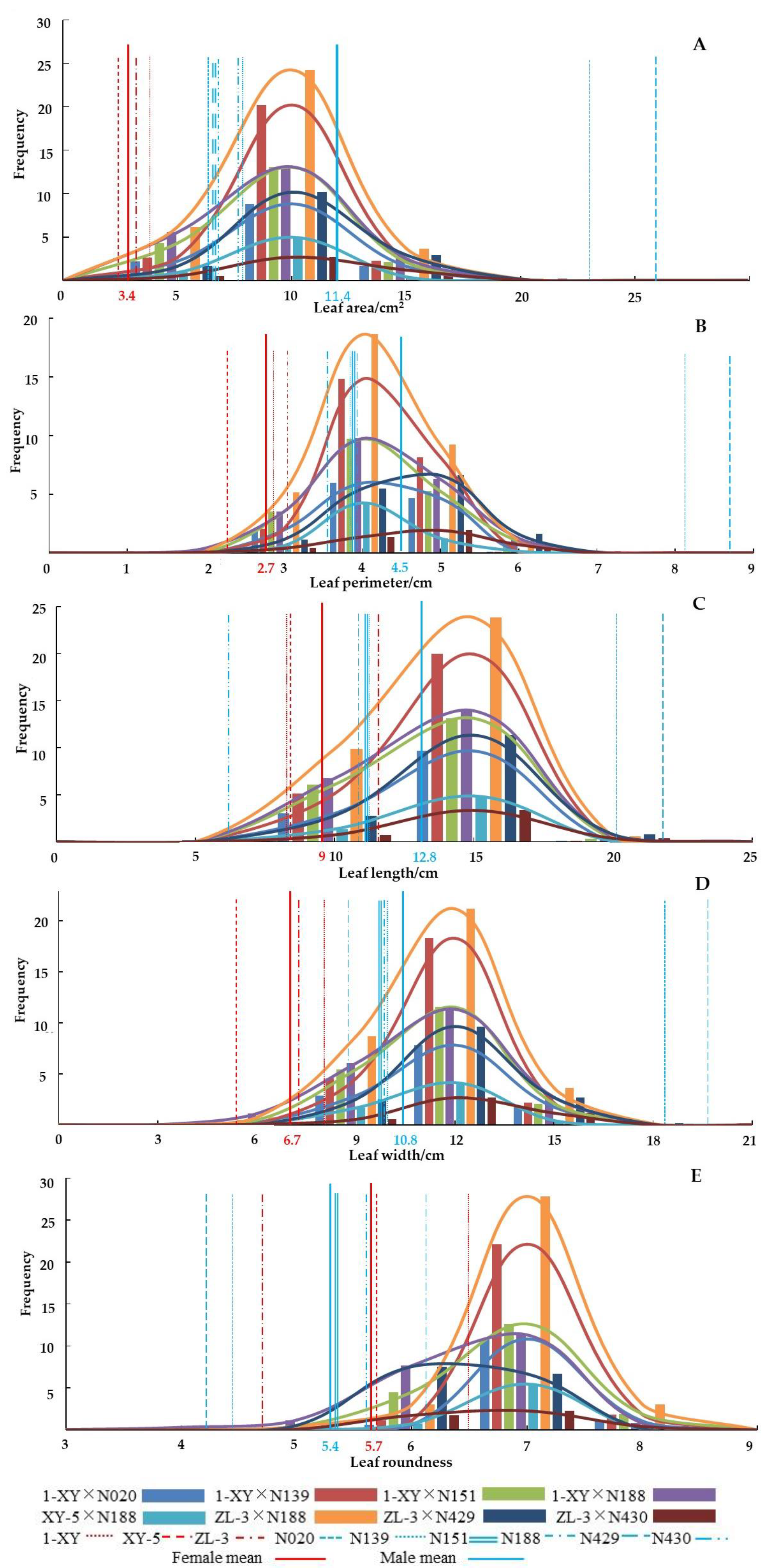 Forests 11 01319 g001