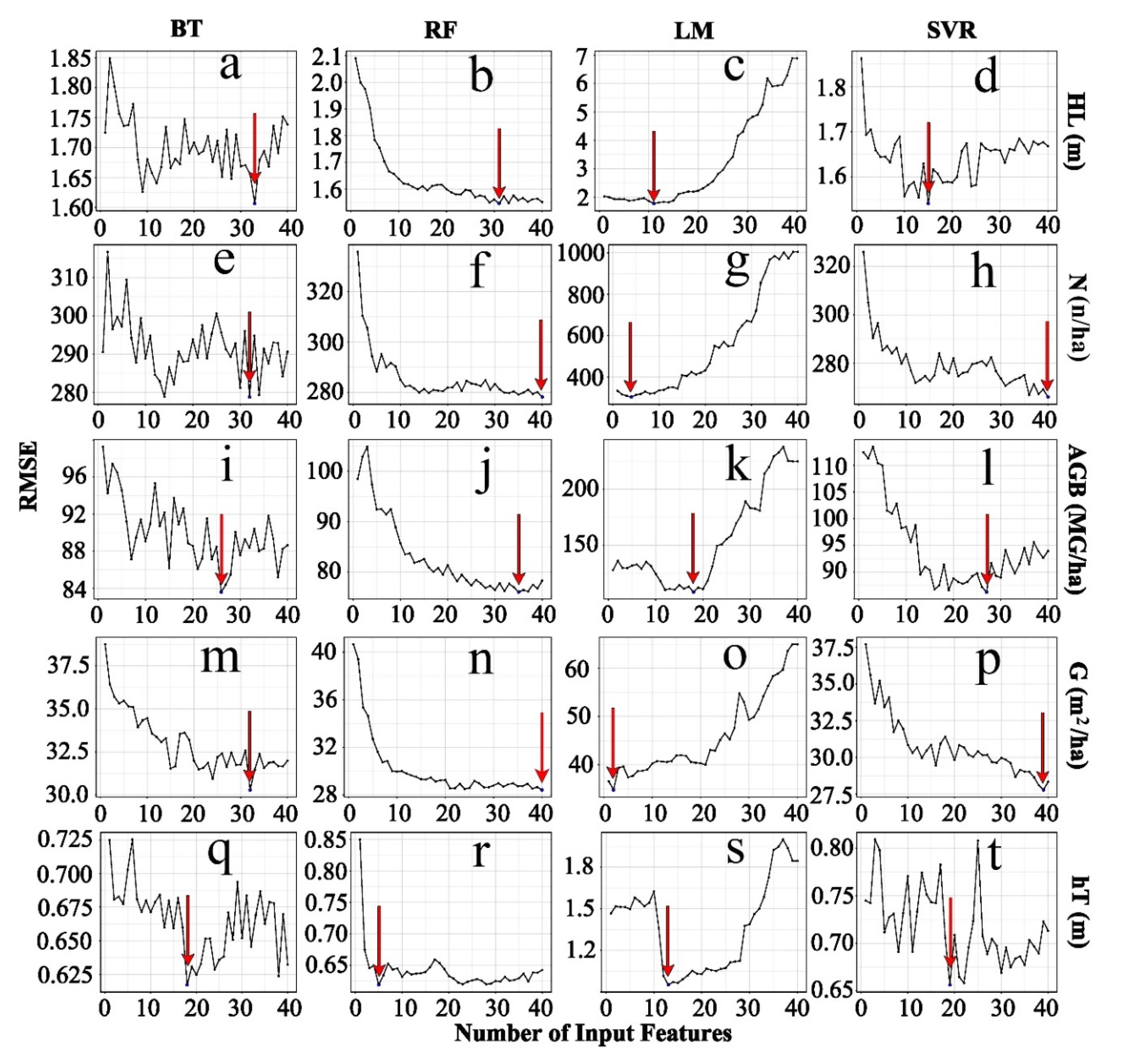 Forests 11 01324 g003 Forests 11 01324 g003